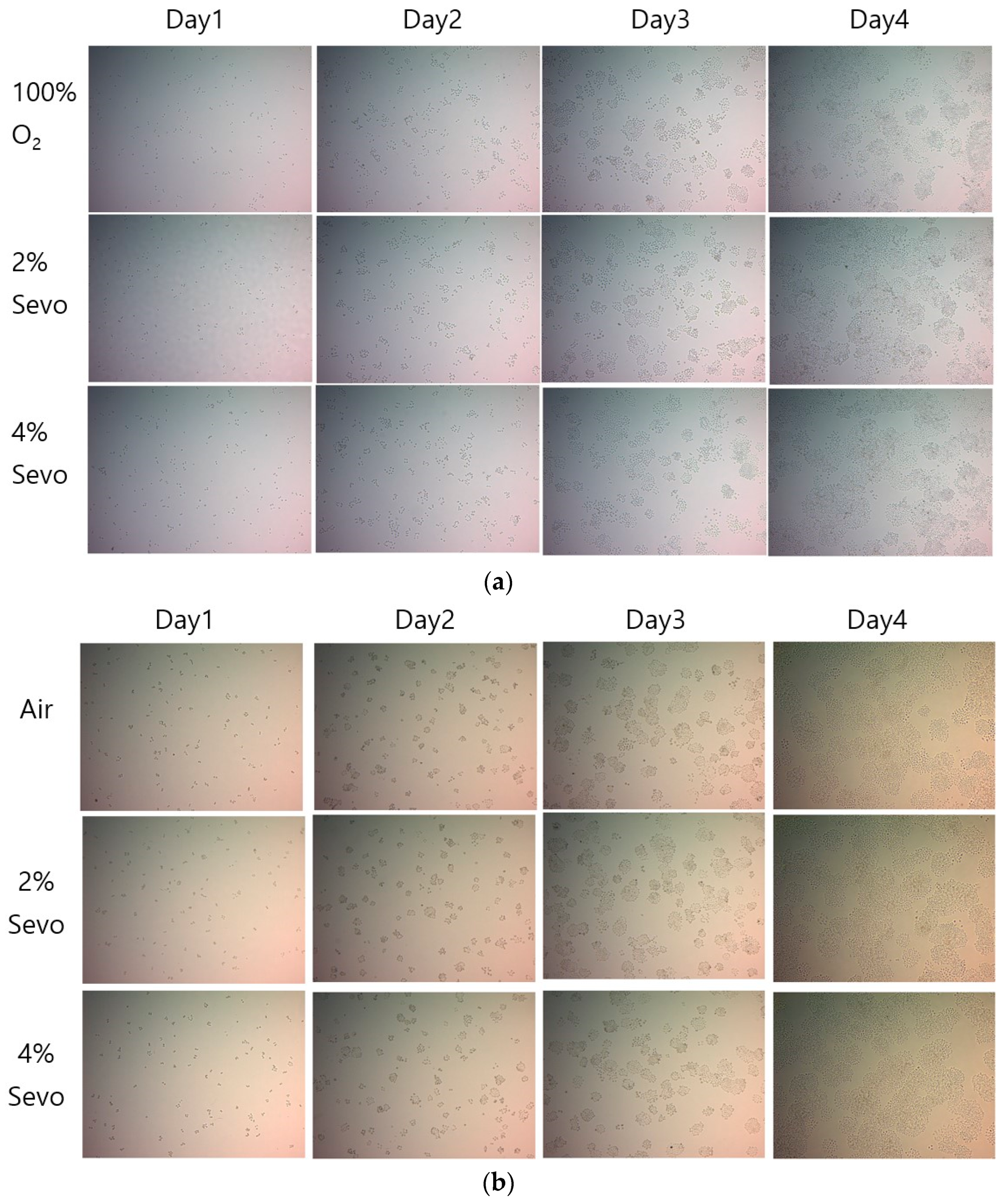 Medicina 59 00613 g004a Medicina 59 00613 g004a