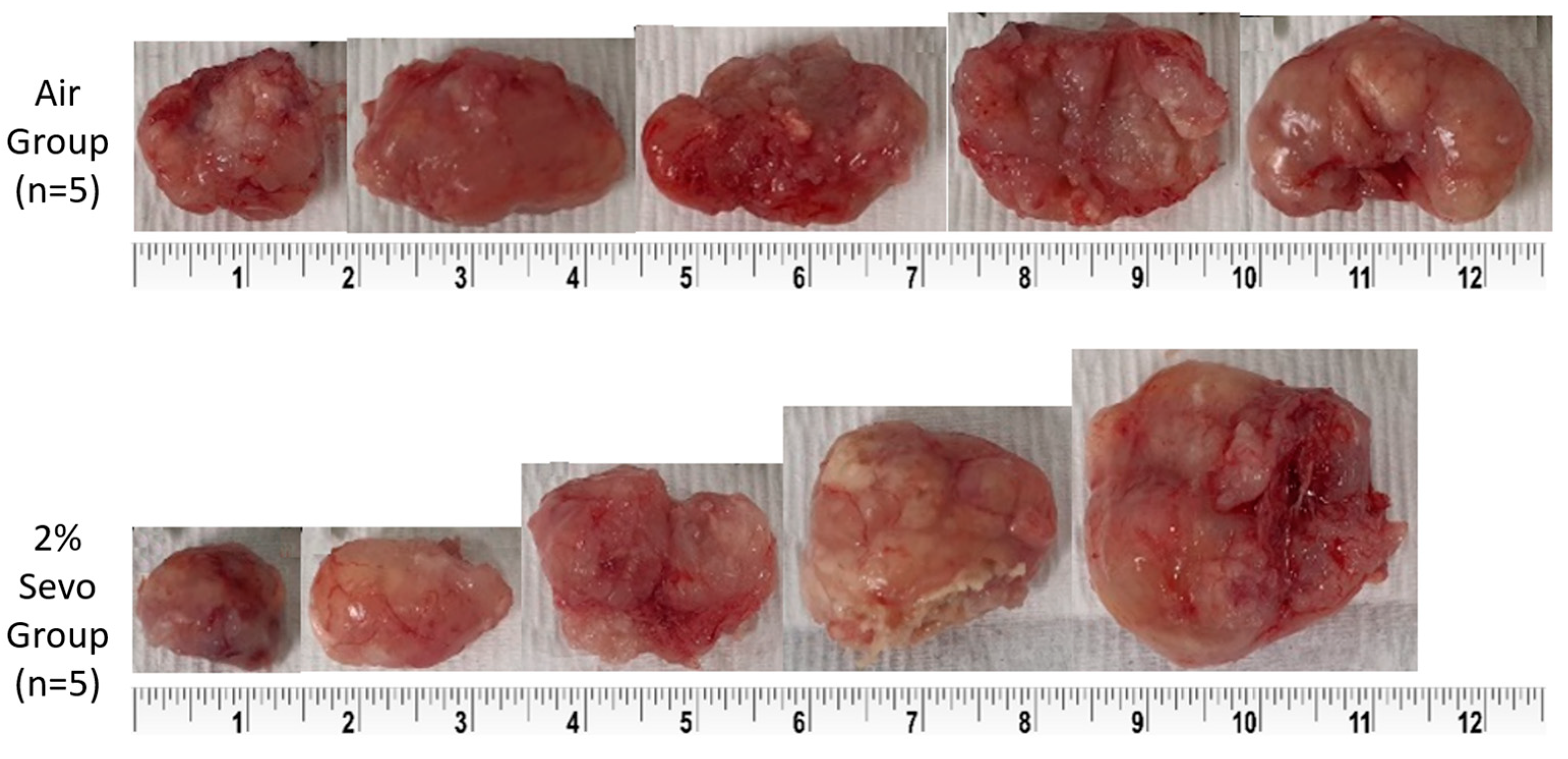 Medicina 59 00613 g005 Medicina 59 00613 g005