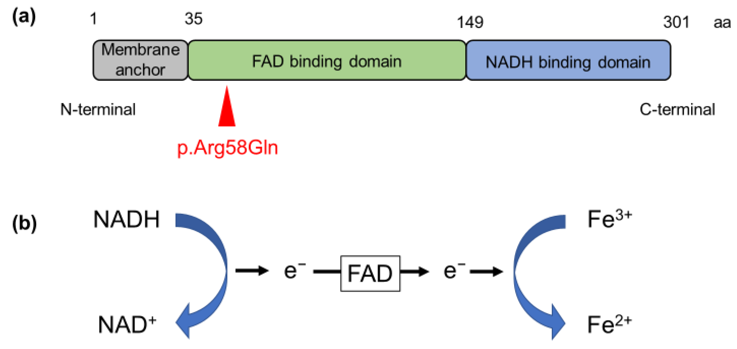 Medicina 59 00615 g002