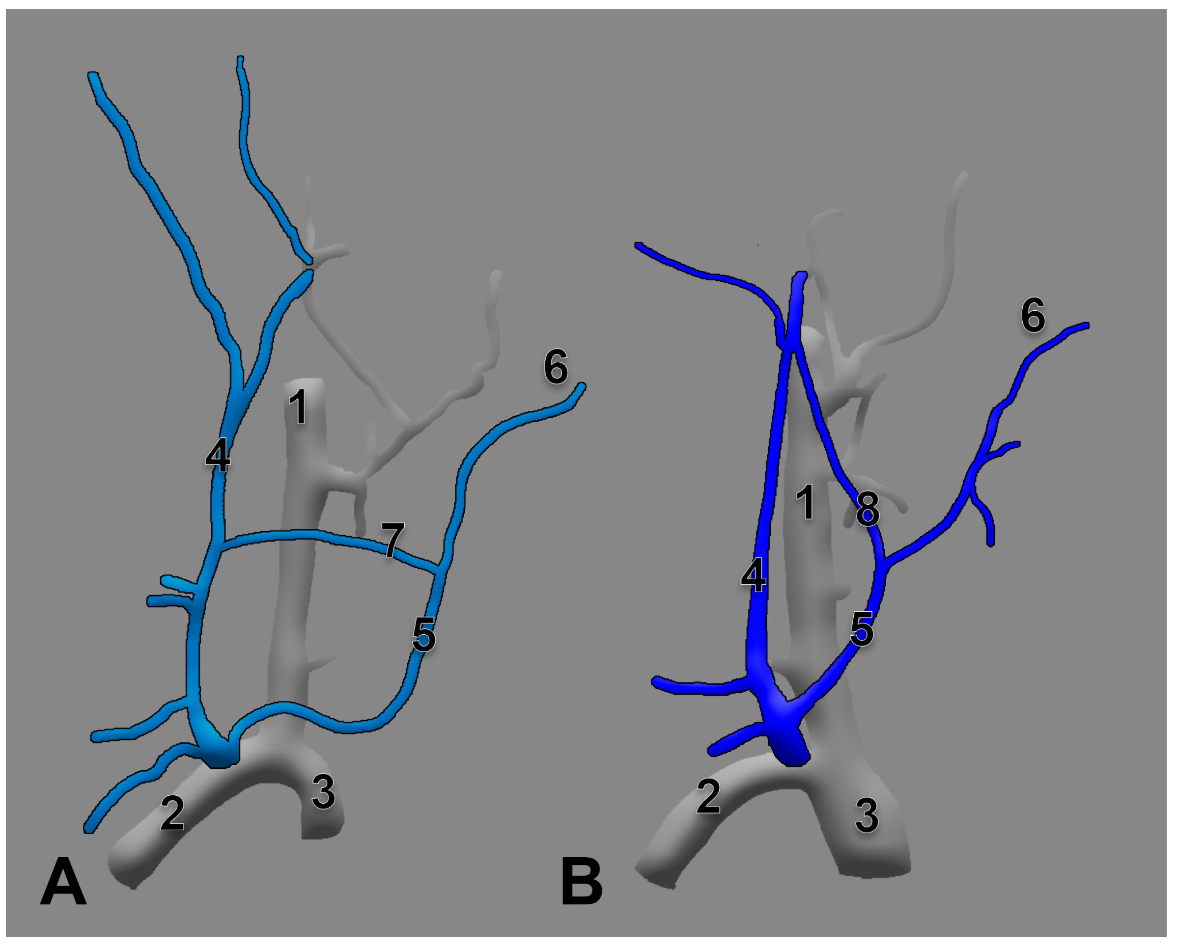 Medicina 59 00622 g008 Medicina 59 00622 g008