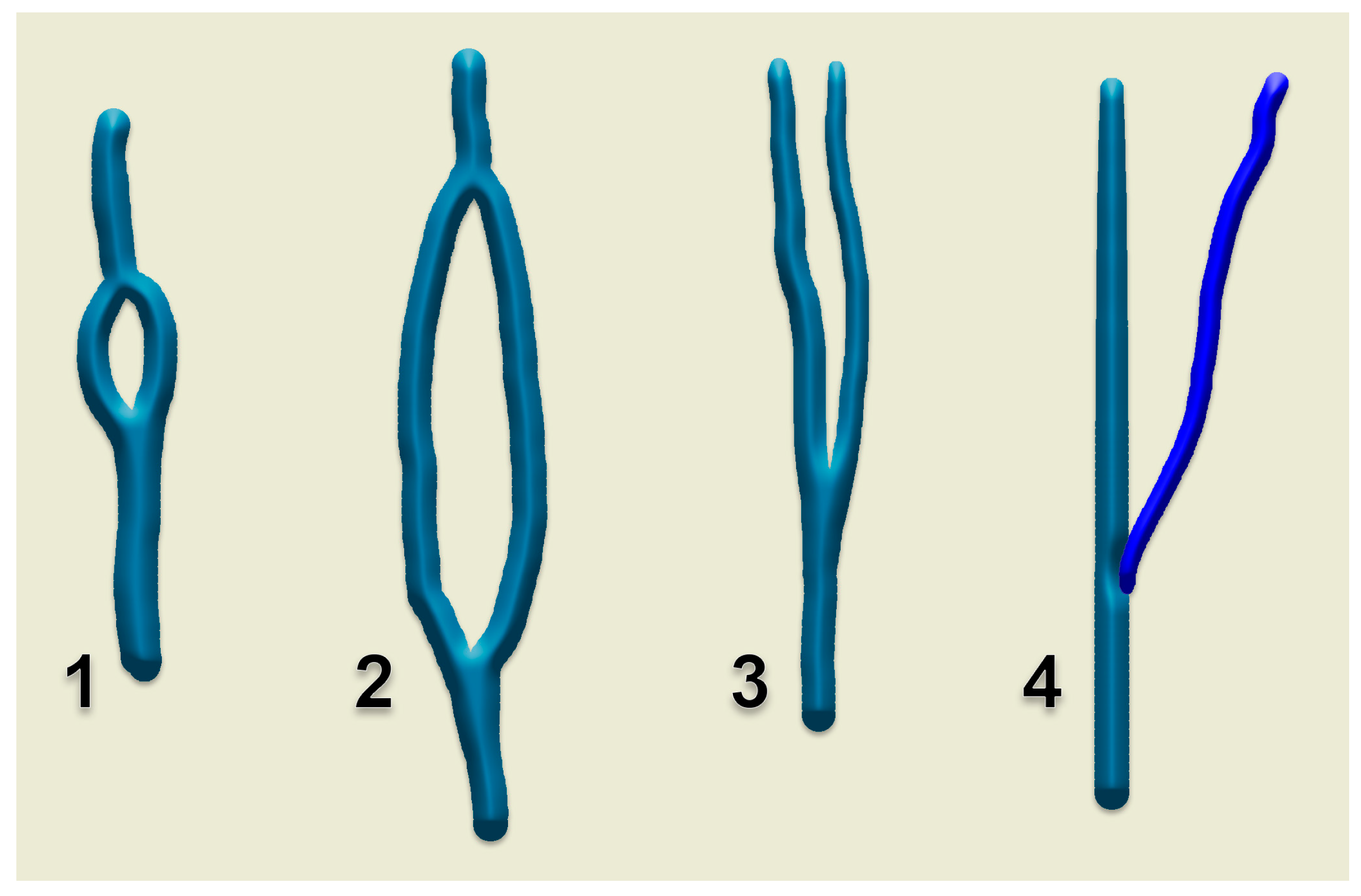 Medicina 59 00622 g012 Medicina 59 00622 g012