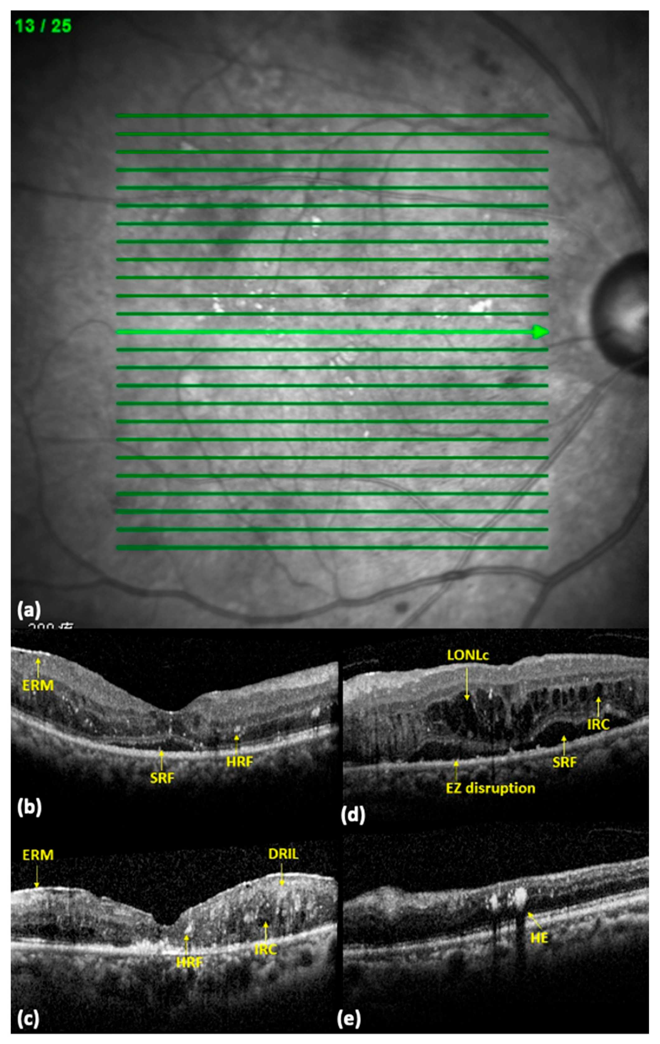Medicina 59 00629 g001