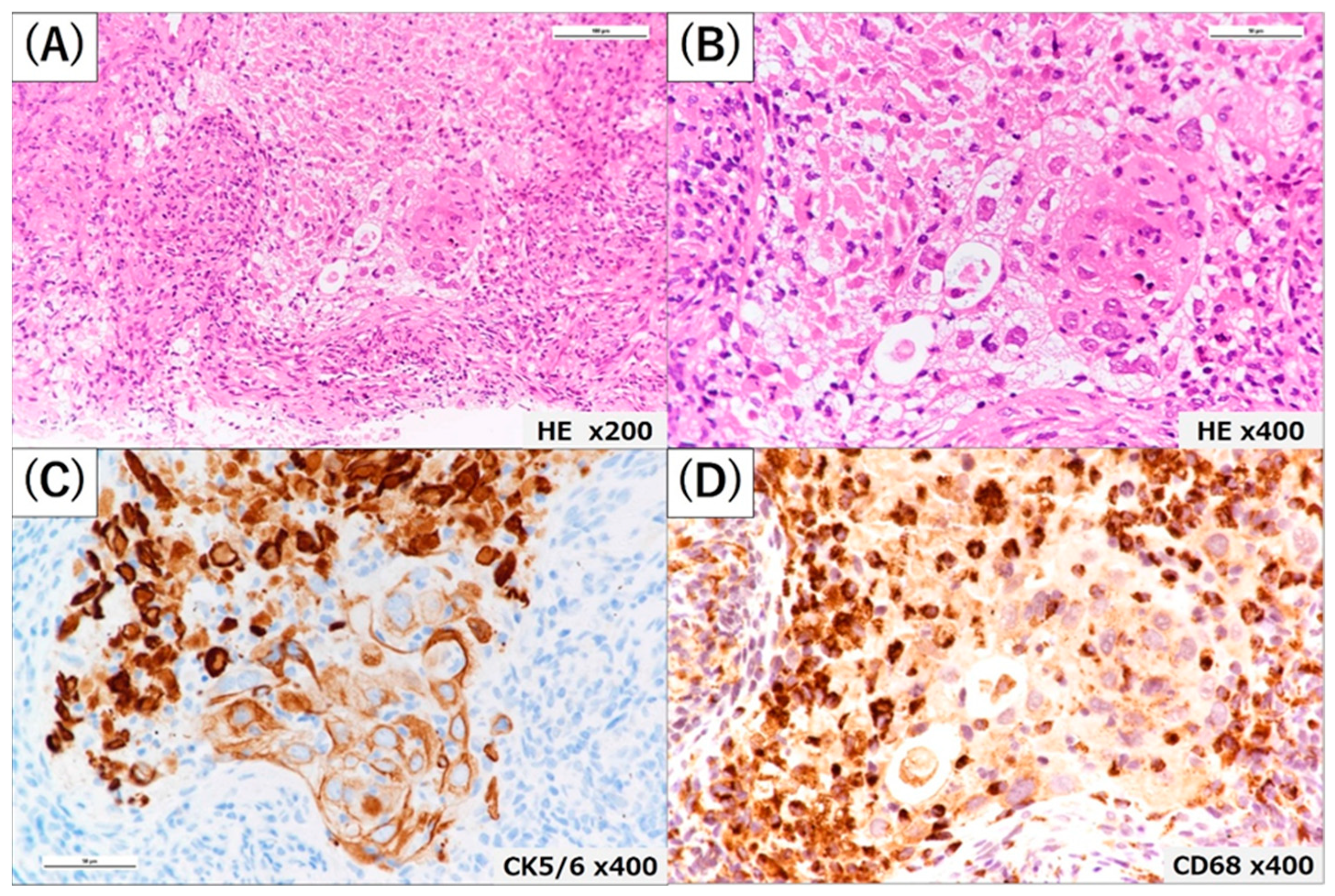 Medicina 59 00631 g002