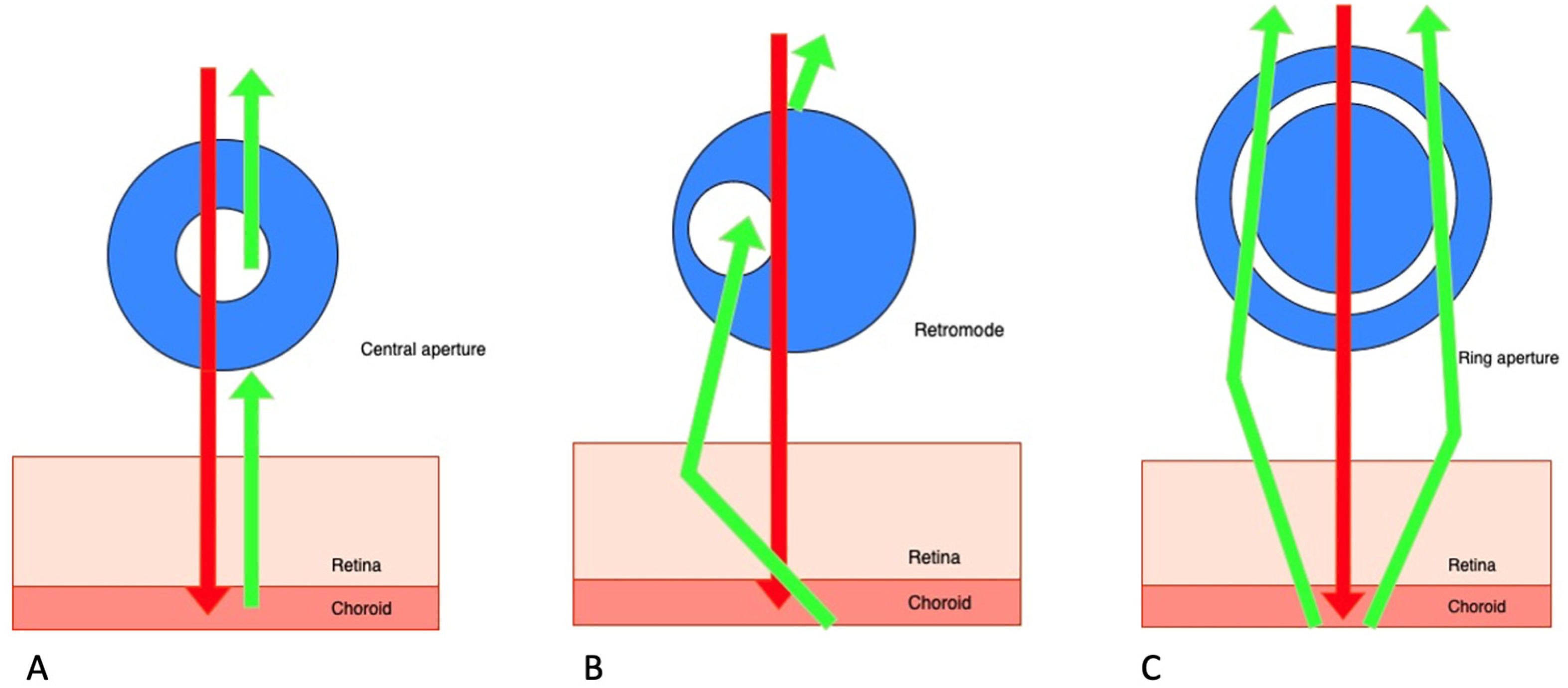 Medicina 59 00647 g001