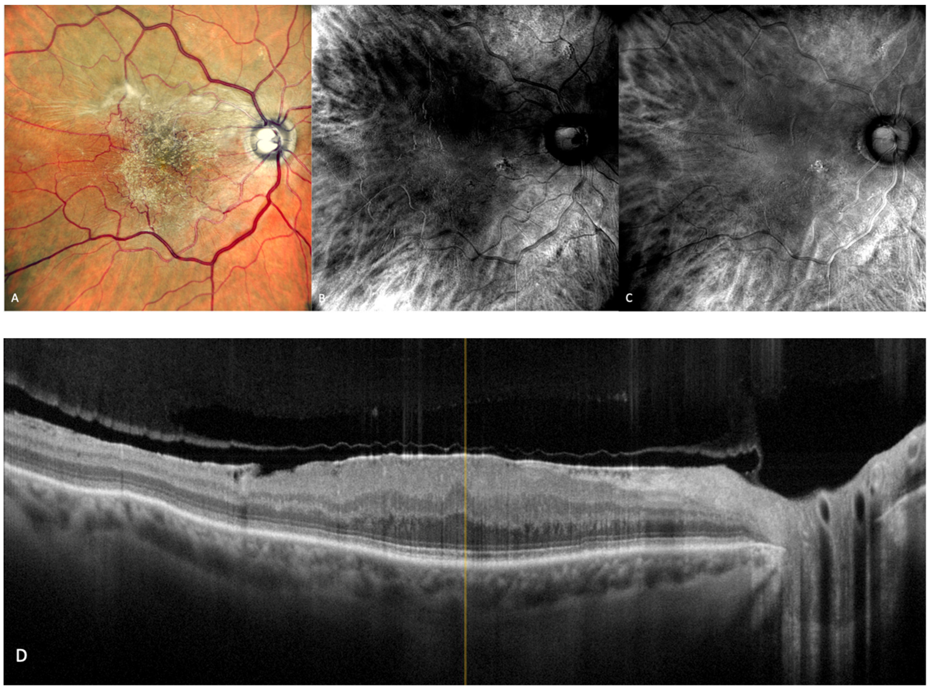 Medicina 59 00647 g009