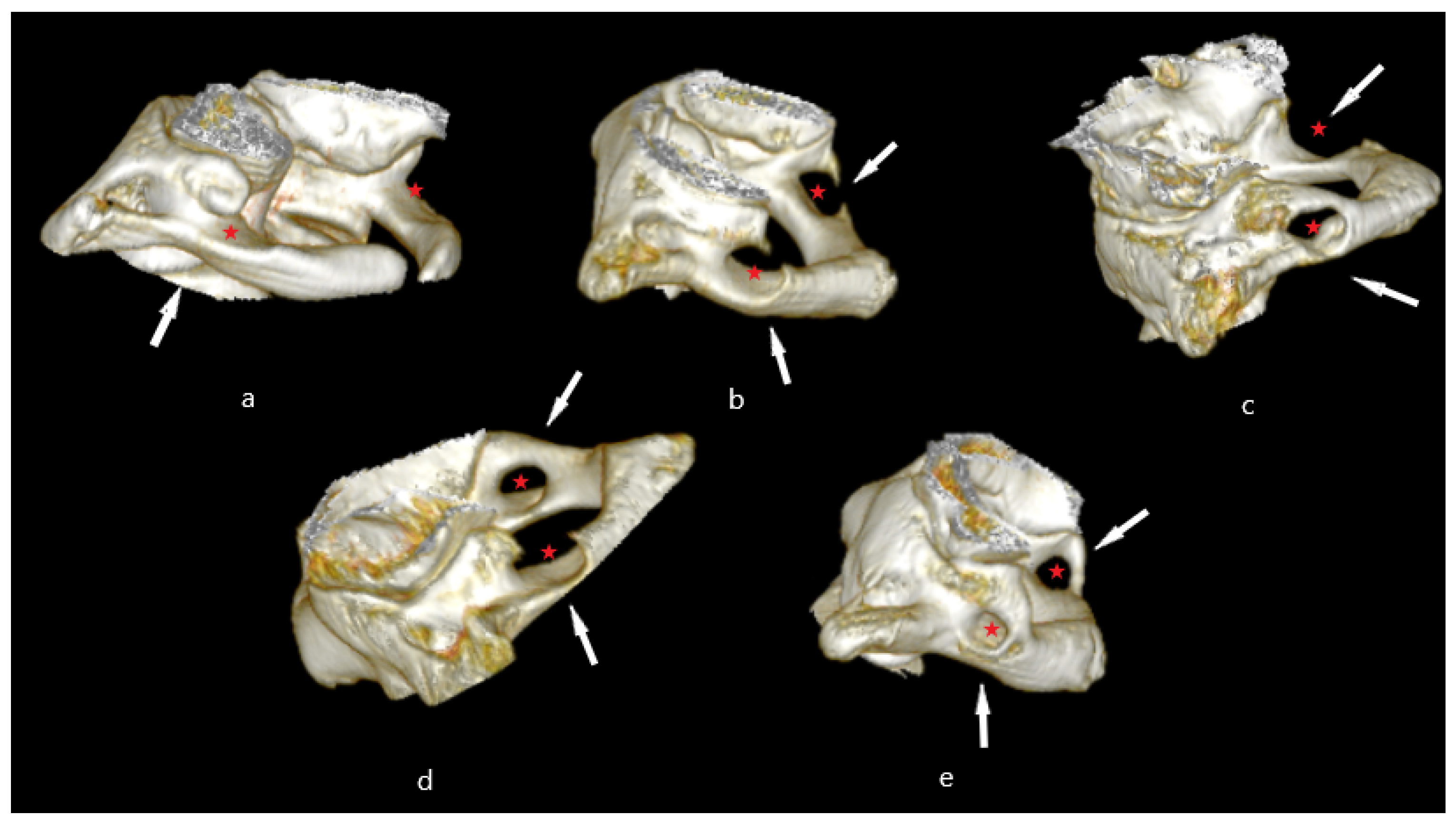 Medicina 59 00650 g001