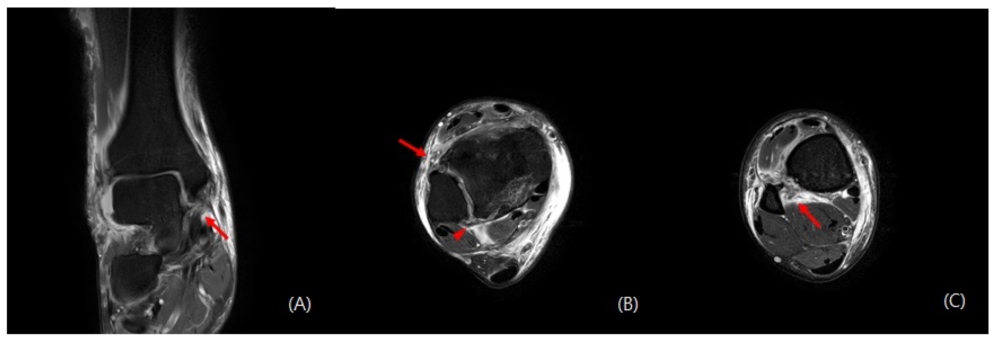 Medicina 59 00652 g003