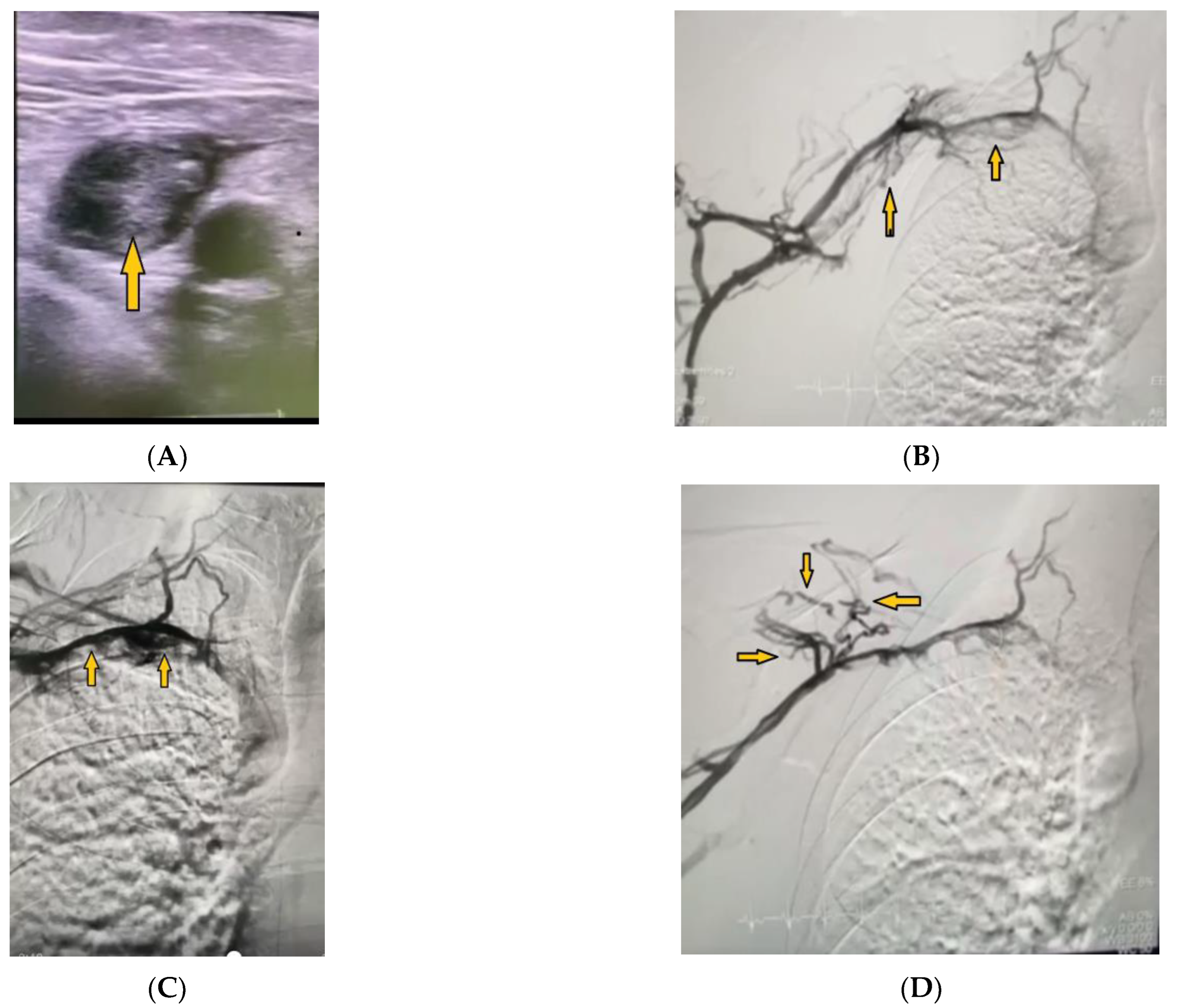 Medicina 59 00656 g001 Medicina 59 00656 g001
