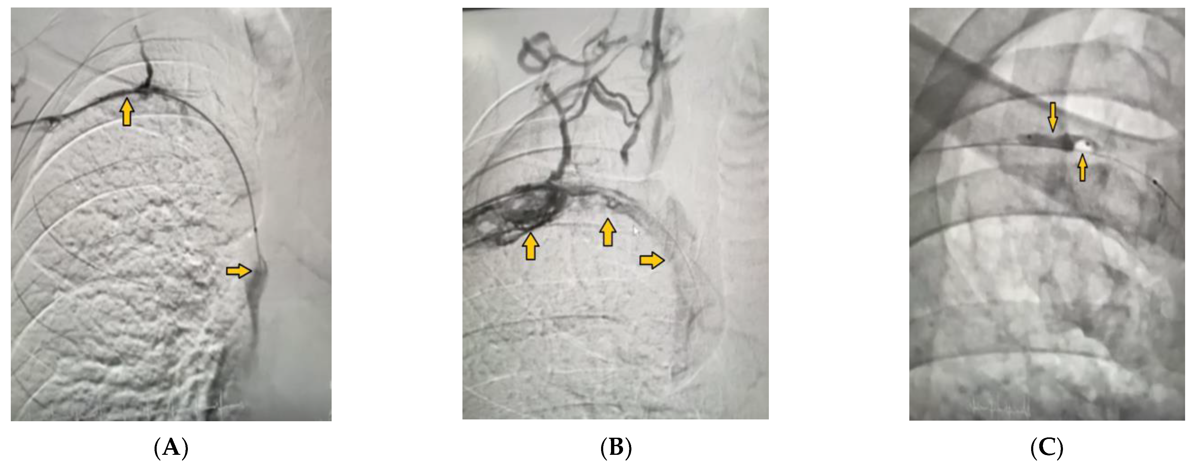 Medicina 59 00656 g002 Medicina 59 00656 g002
