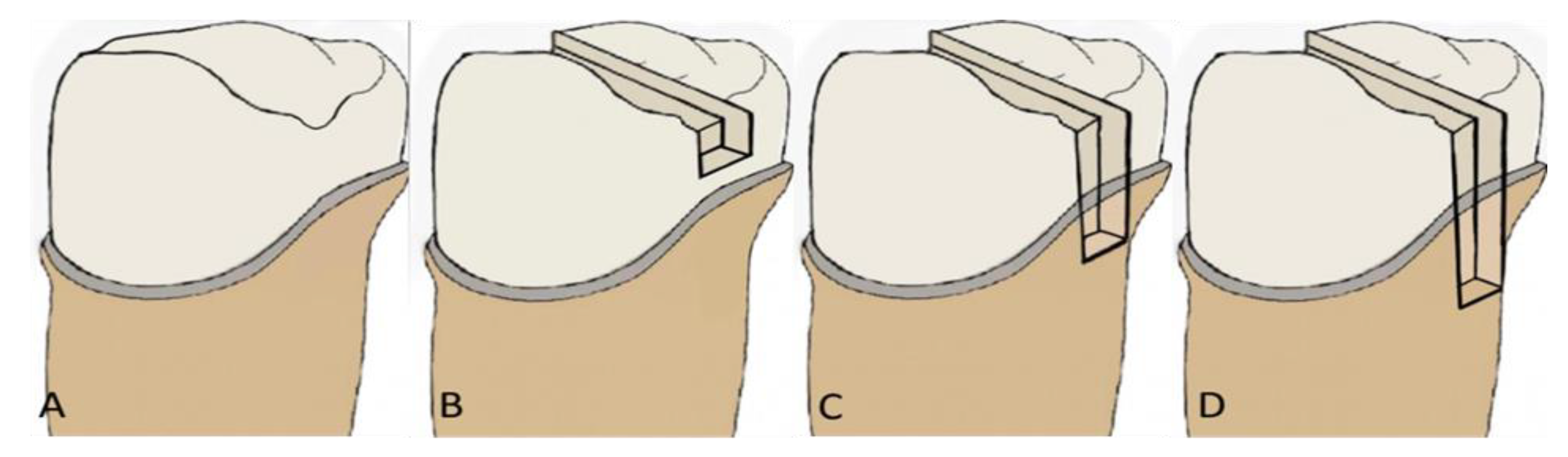 Medicina 59 00661 g001