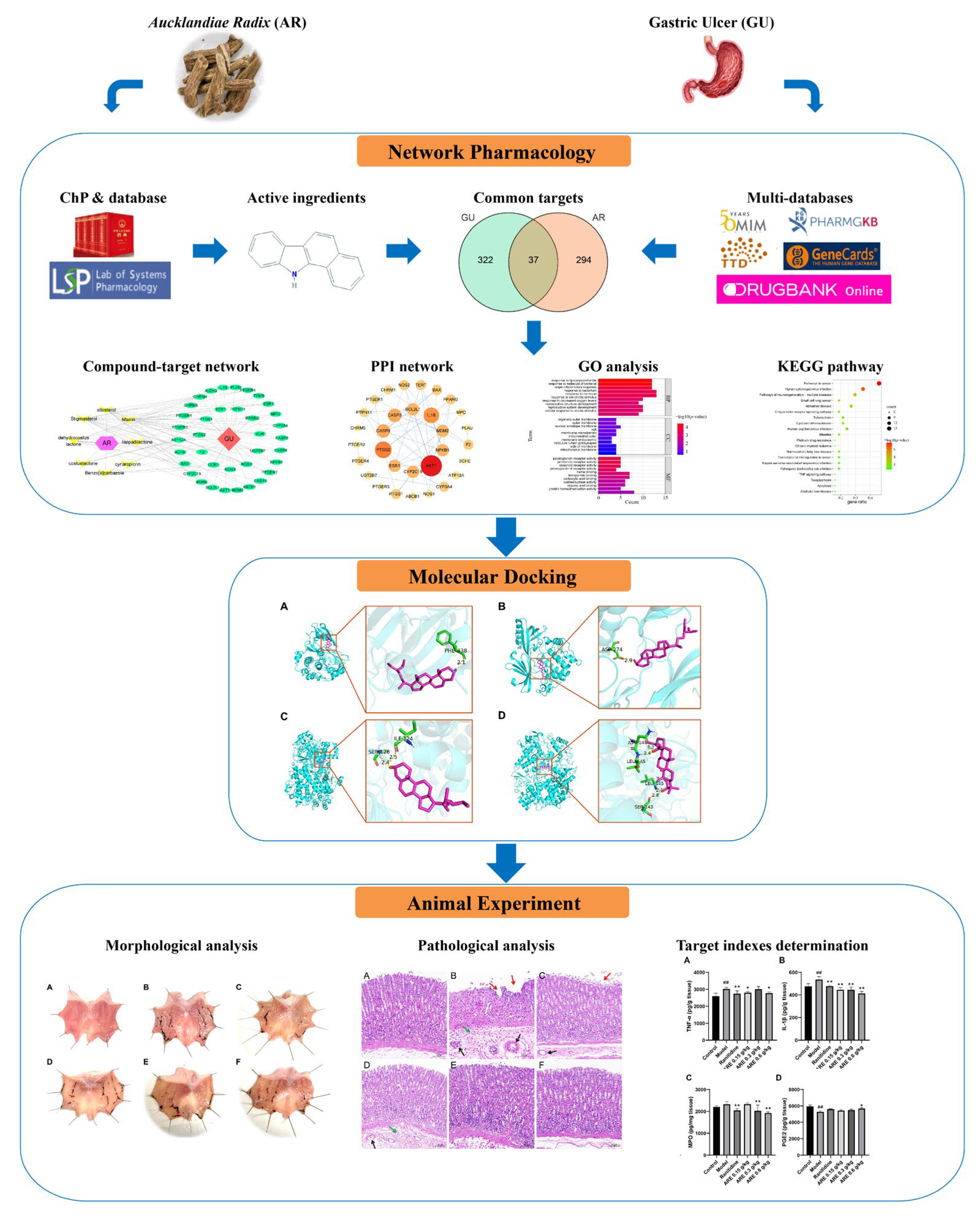 Medicina 59 00666 g001
