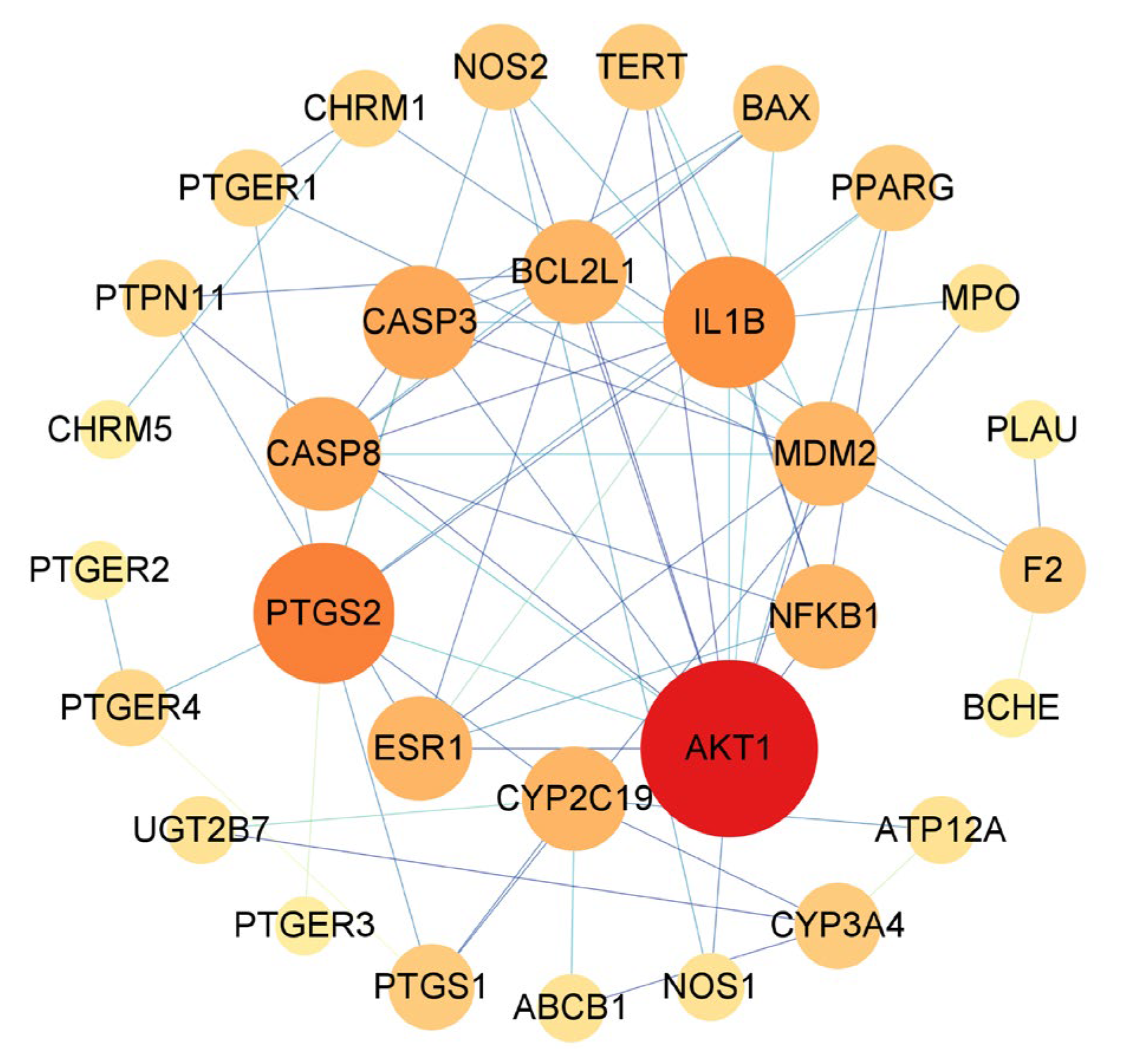 Medicina 59 00666 g004