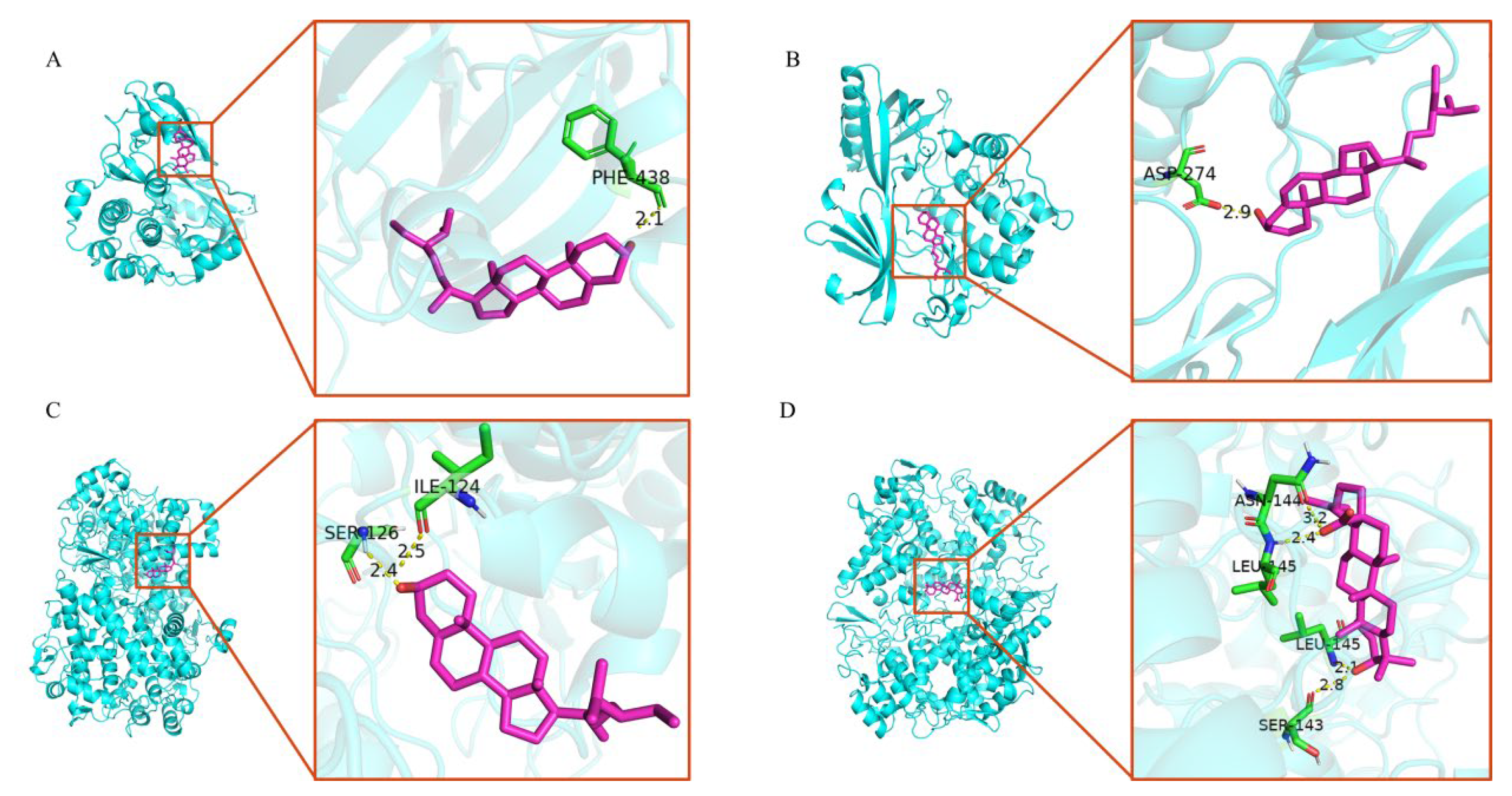 Medicina 59 00666 g007