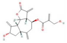 Medicina 59 00666 i002