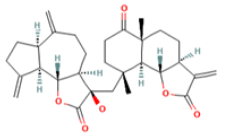 Medicina 59 00666 i003