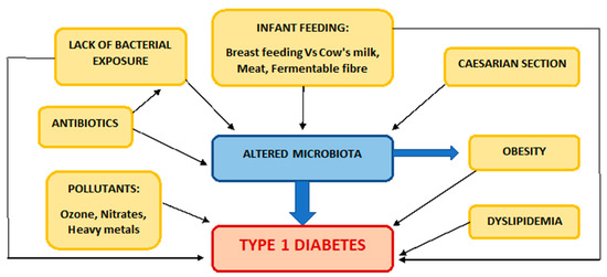 Medicina | Free Full-Text | Changes in the Global Epidemiology of Type 1 Diabetes in an Evolving Landscape of Environmental Factors: Causes, Challenges, and Opportunities