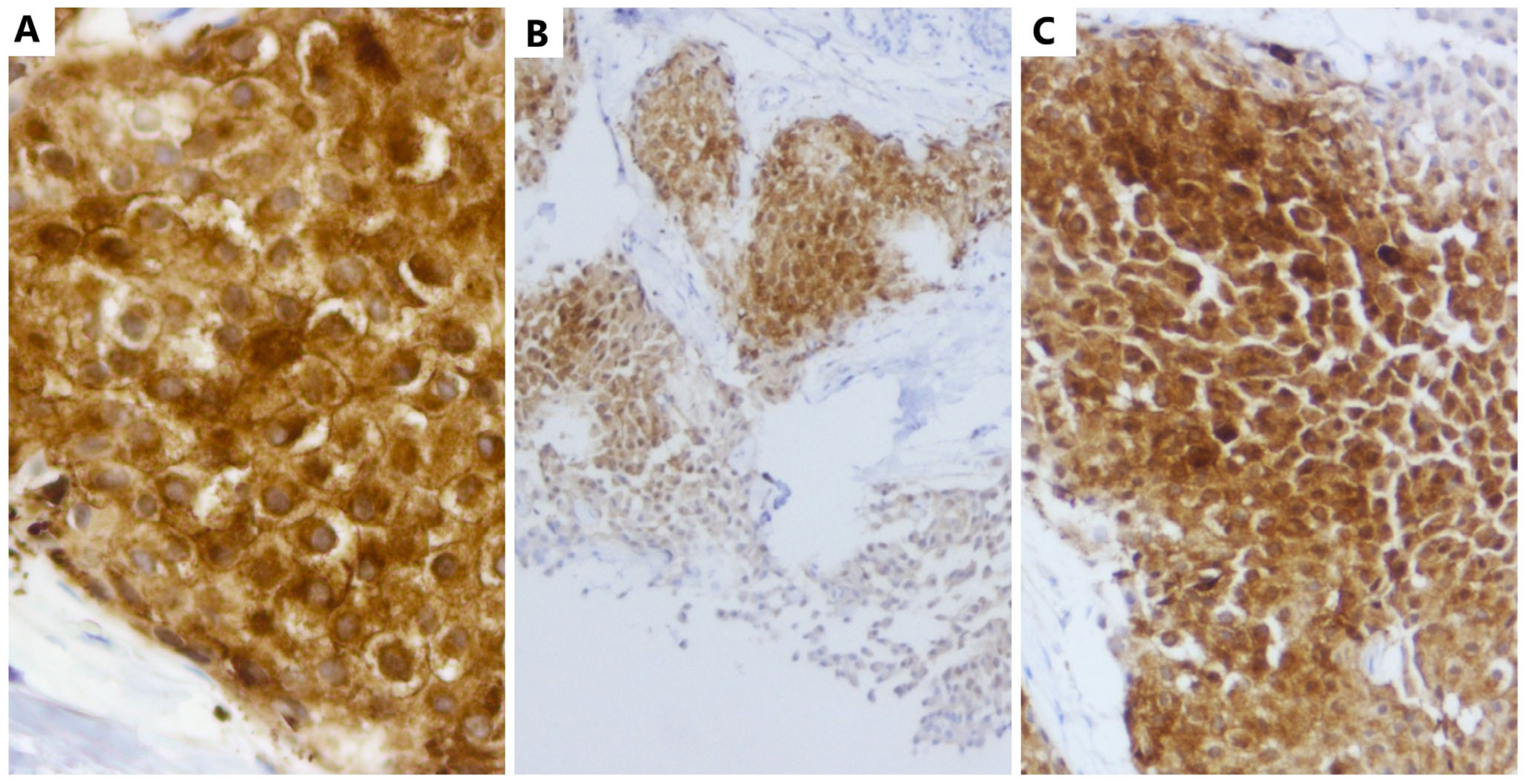 Medicina 59 00672 g002
