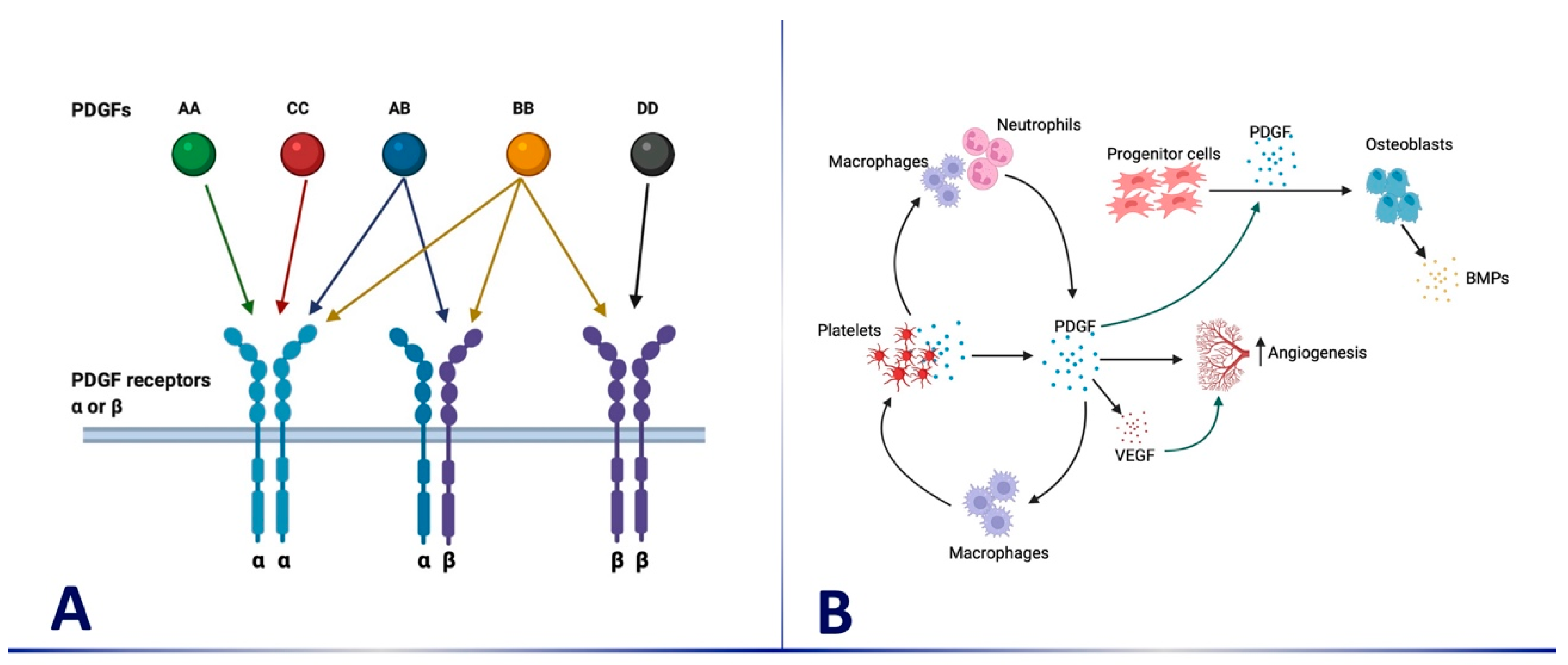 Medicina 59 00676 g001