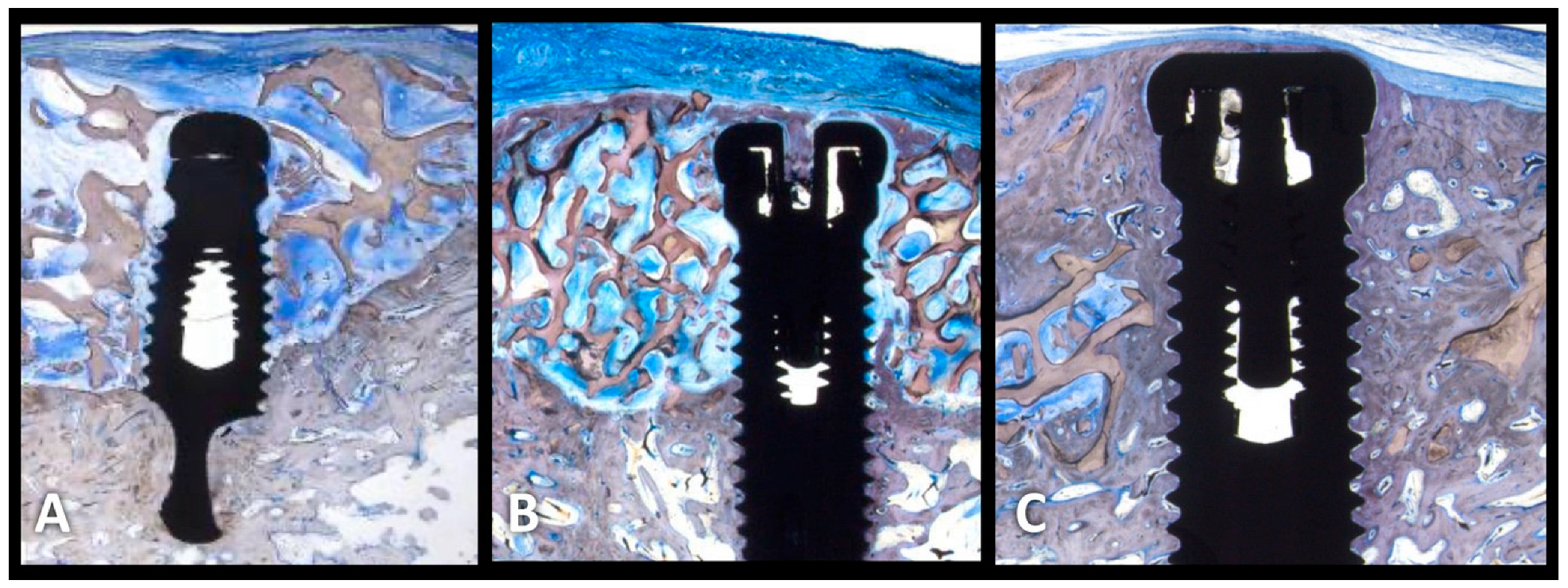 Medicina 59 00676 g002