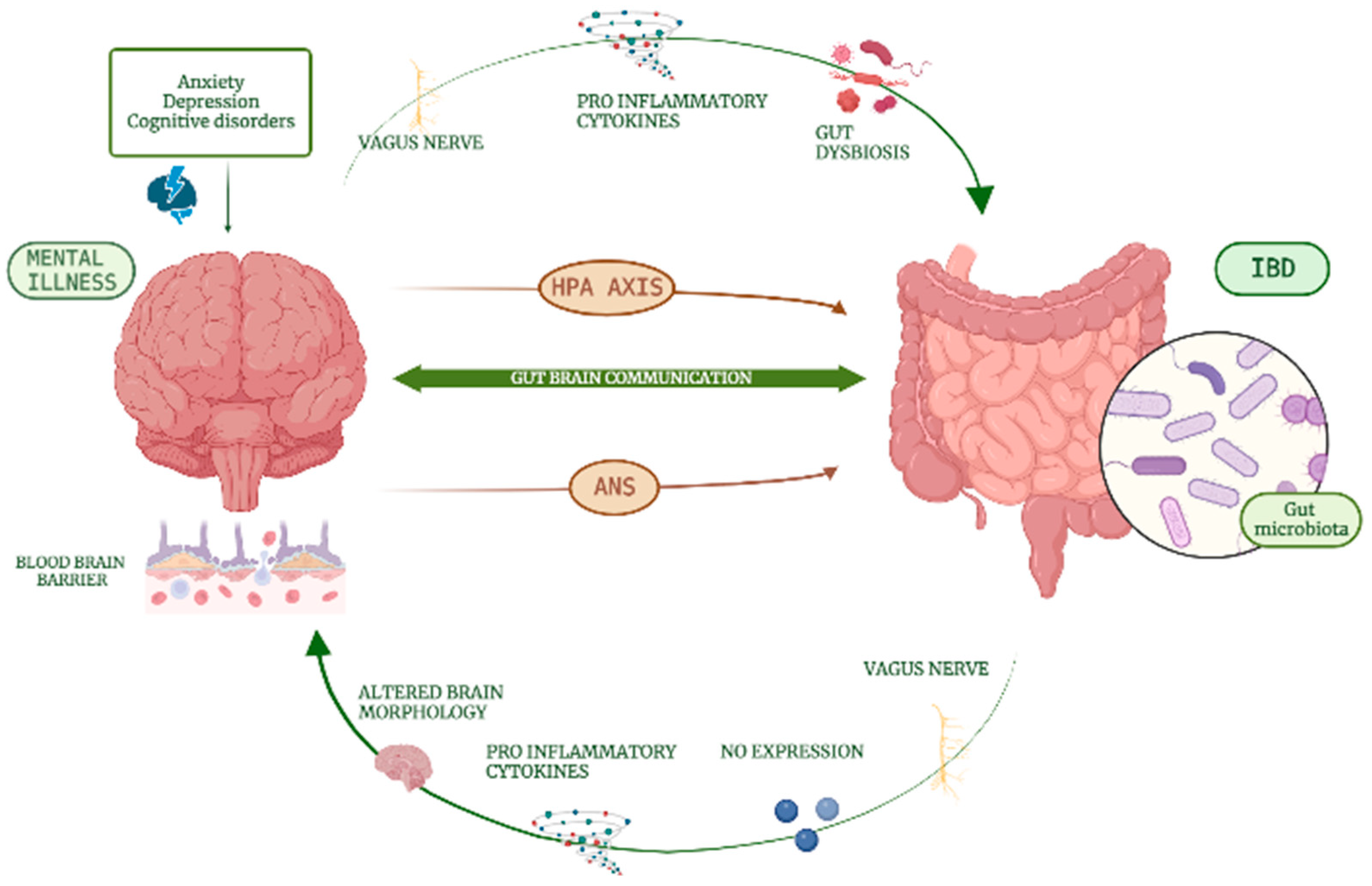 Medicina 59 00682 g001