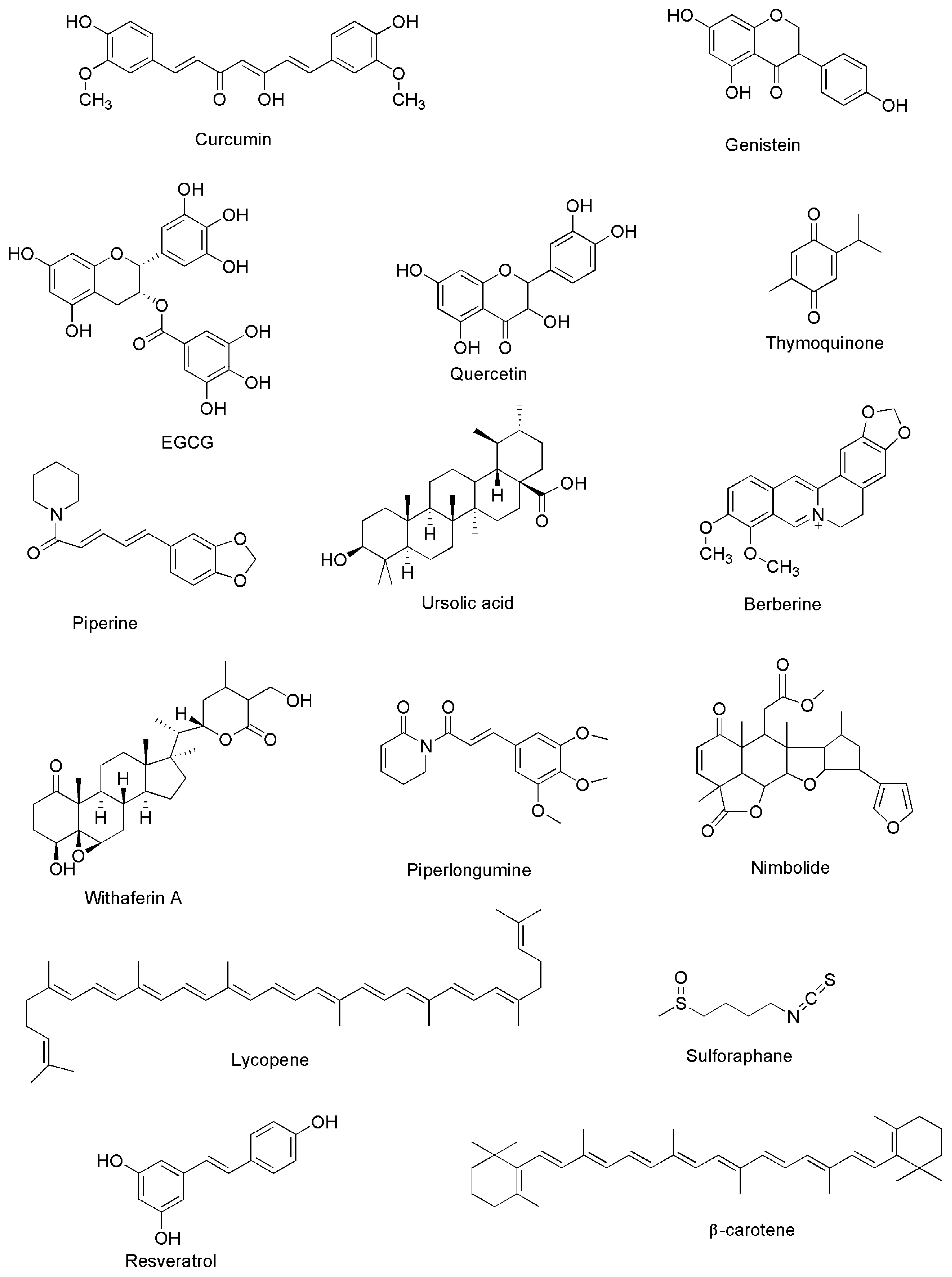 Medicina 59 00685 g002 Medicina 59 00685 g002