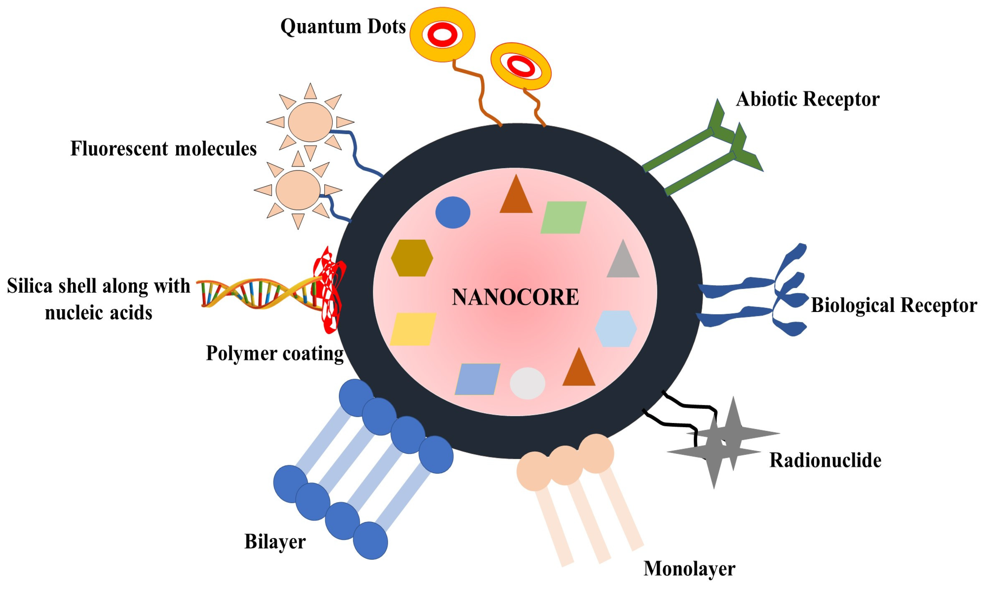 Medicina 59 00685 g004 Medicina 59 00685 g004