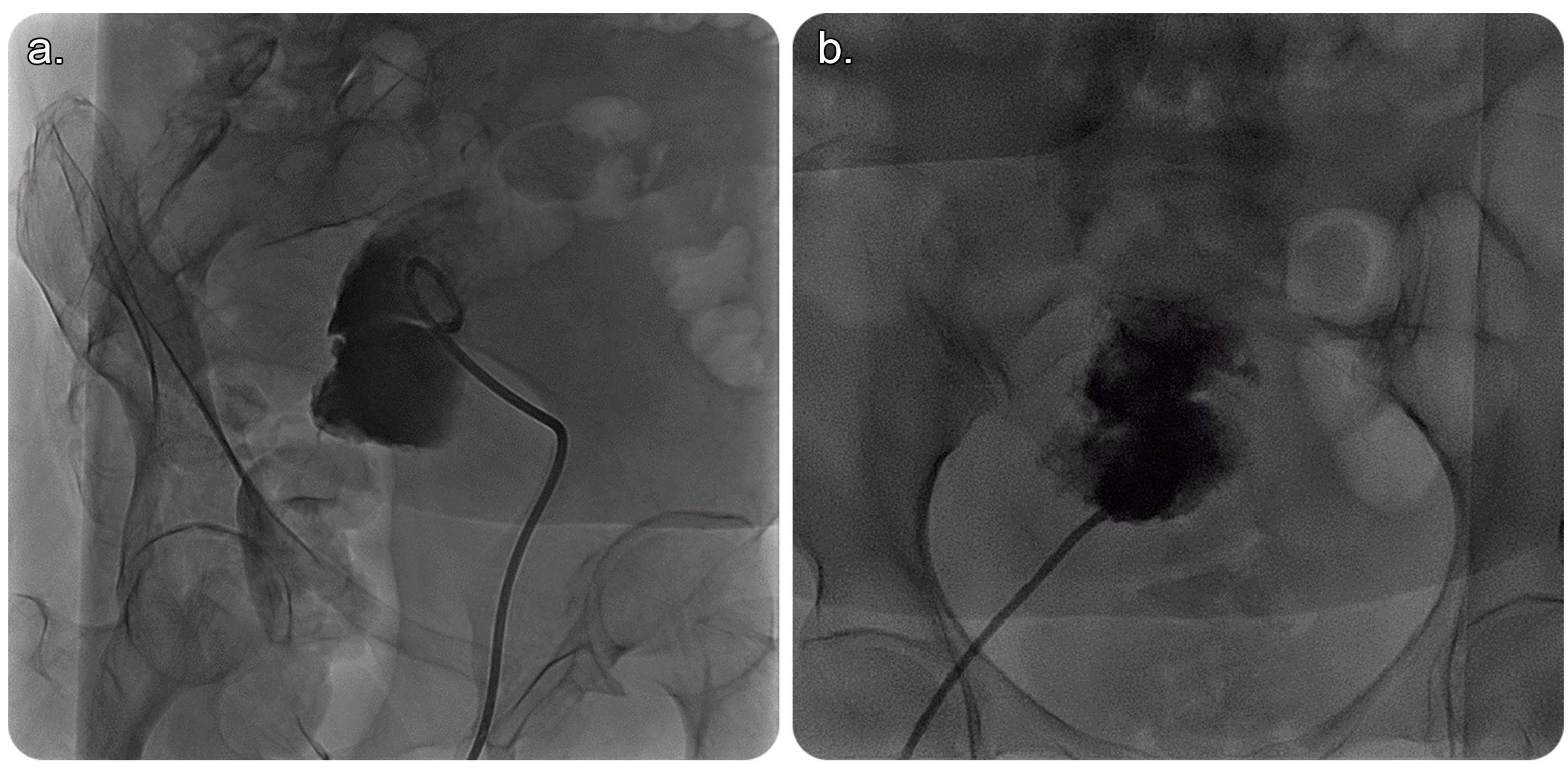 Medicina 59 00689 g003