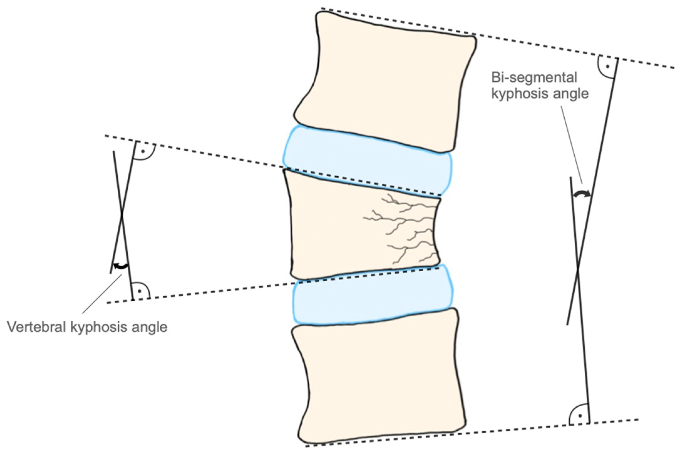 Medicina 59 00695 g001