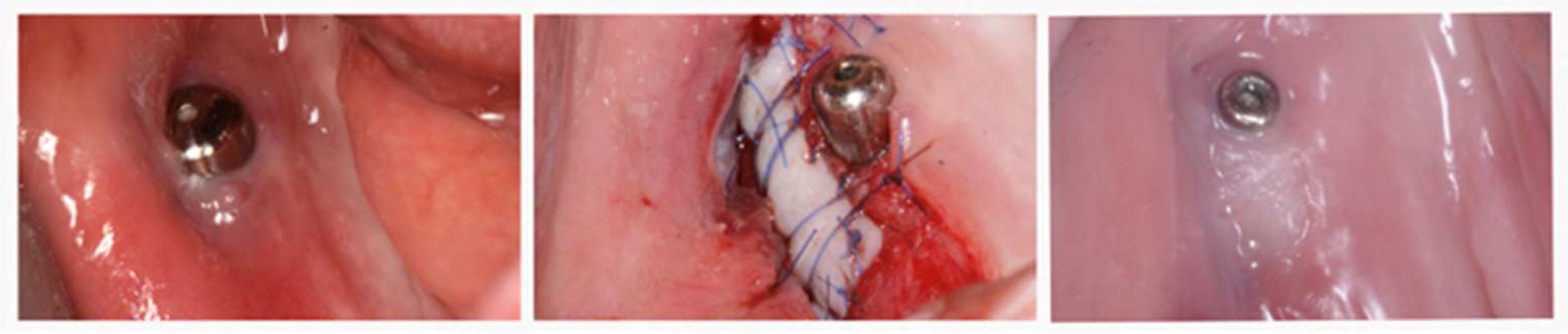 Medicina 59 00697 g003