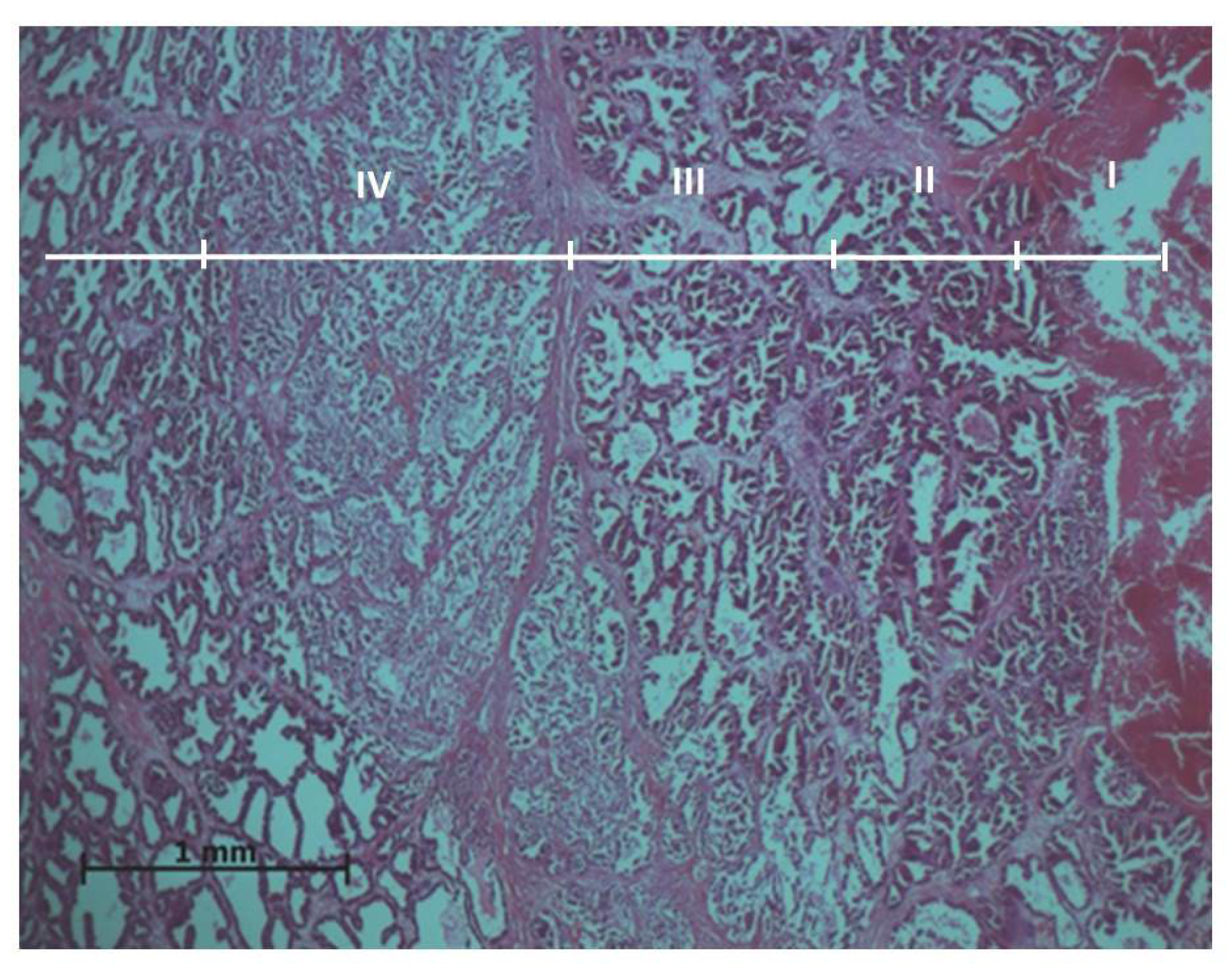 Medicina 59 00702 g001