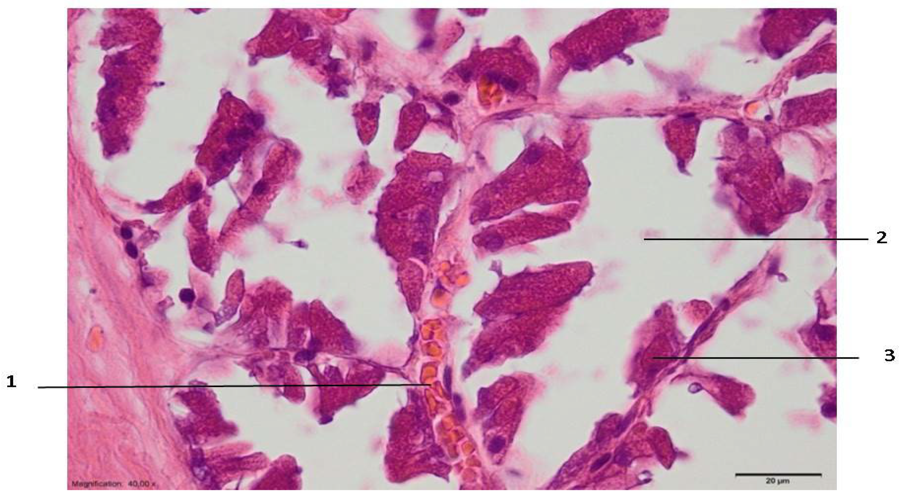 Medicina 59 00702 g004