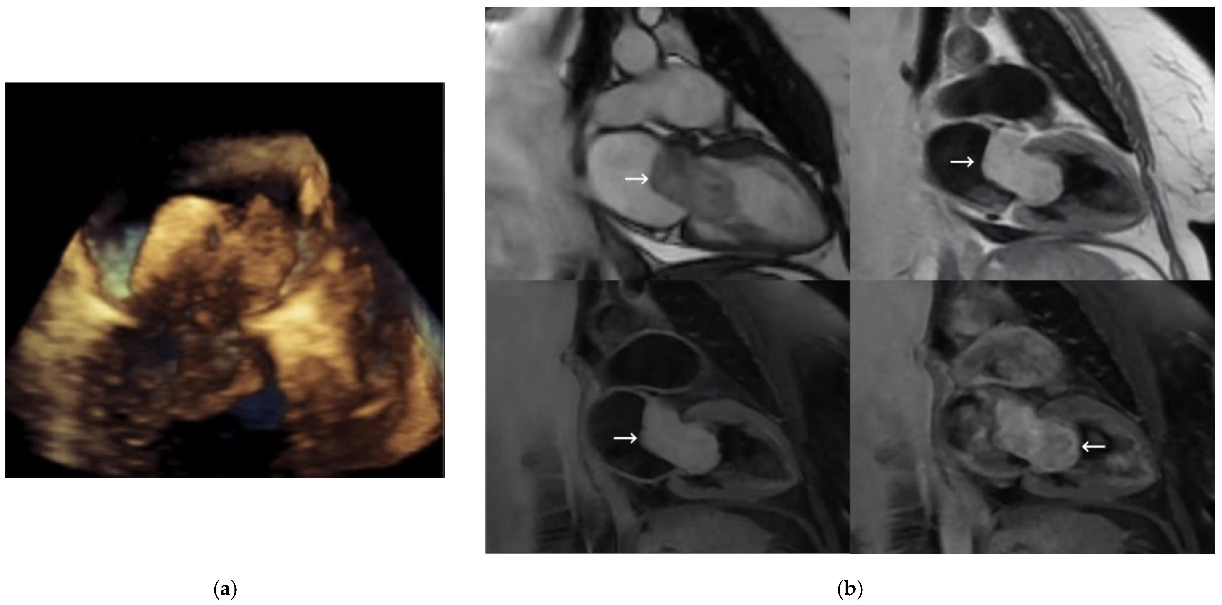 Medicina 59 00705 g001