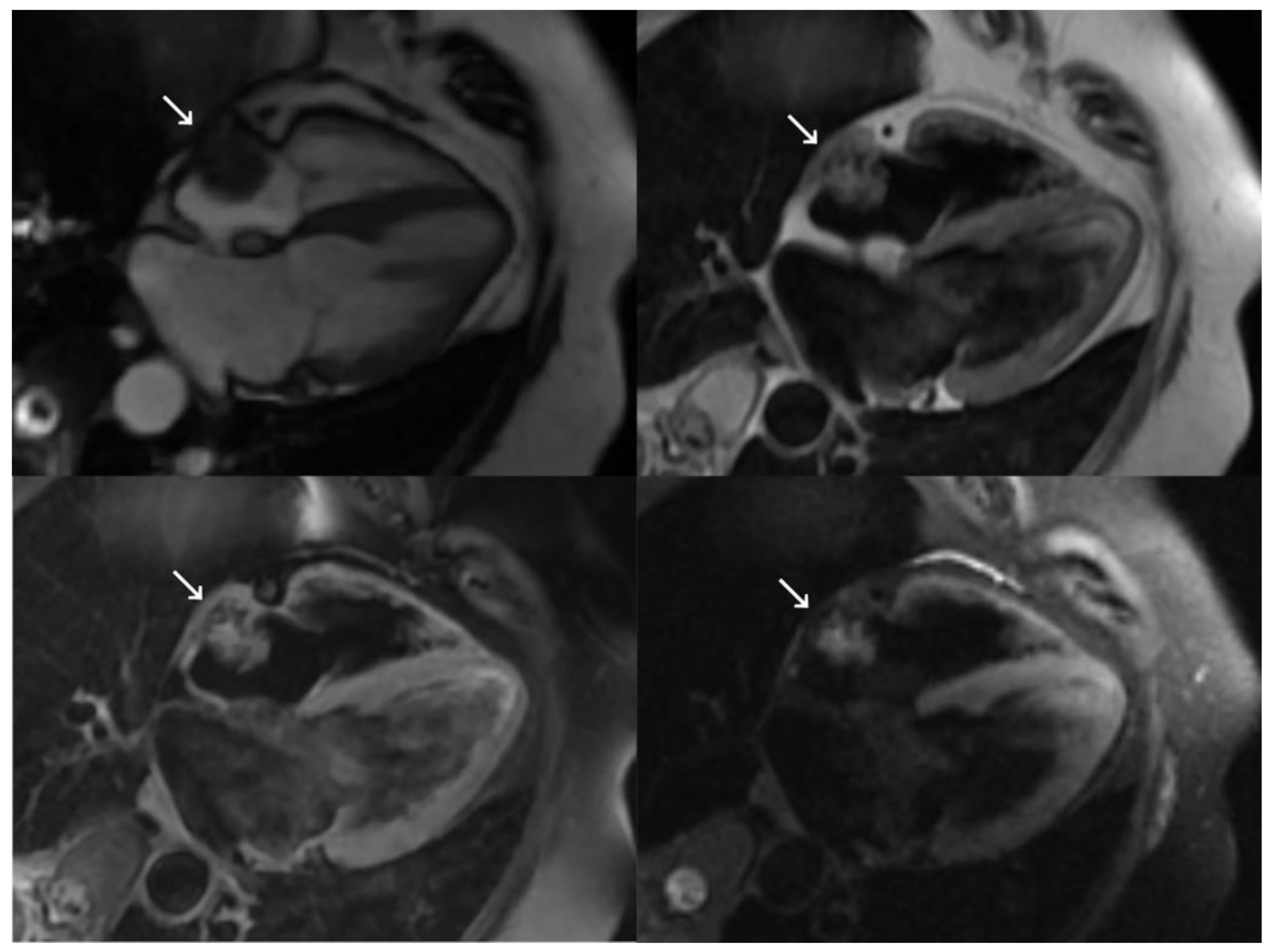 Medicina 59 00705 g002