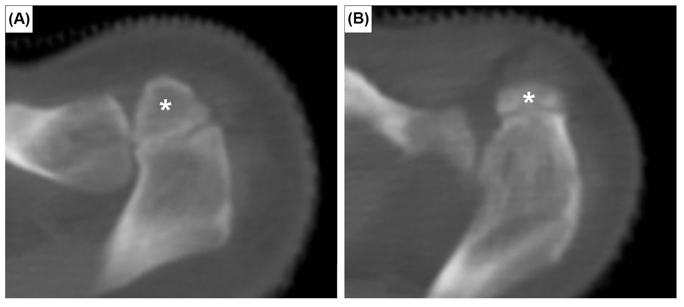 Medicina 59 00707 g001