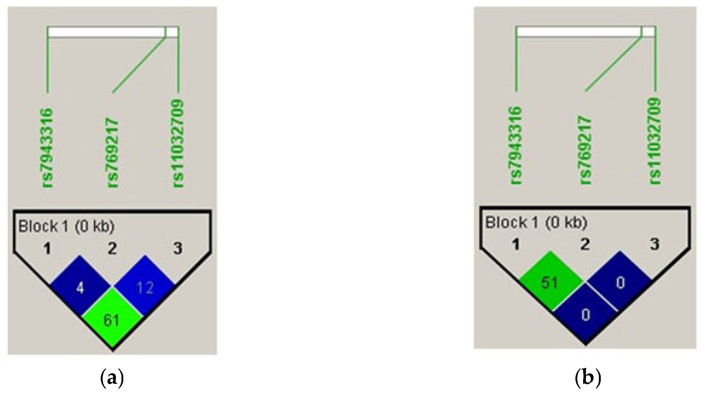 Medicina 59 00708 g002