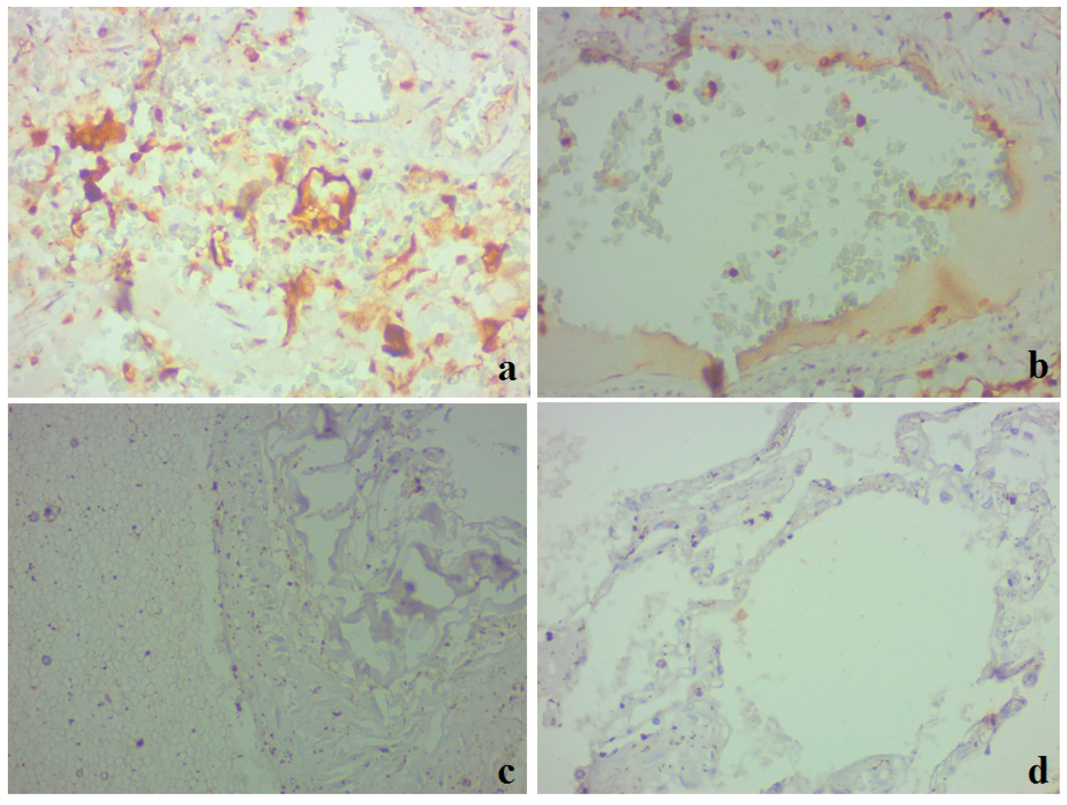 Medicina 59 00714 g006