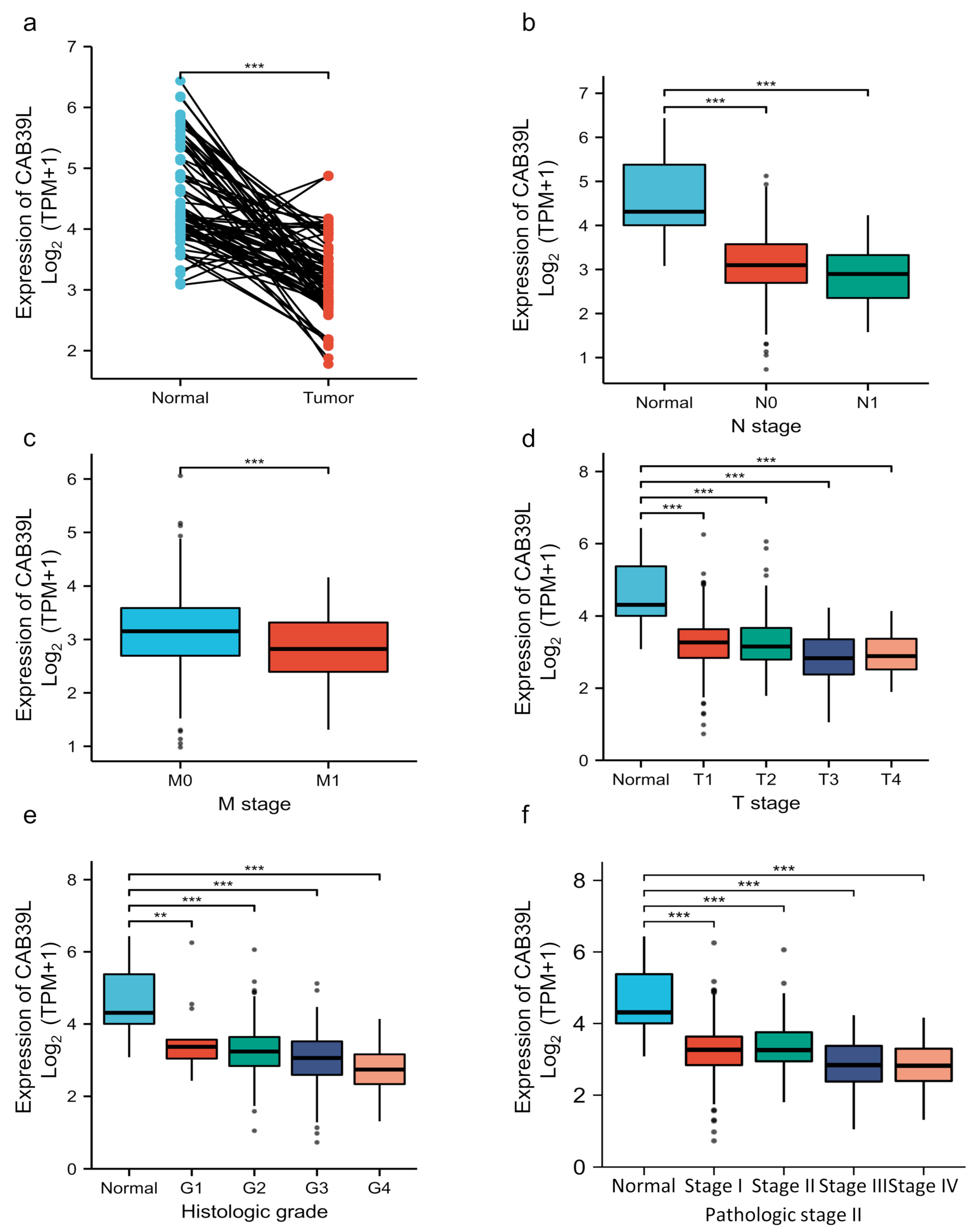 Medicina 59 00716 g002