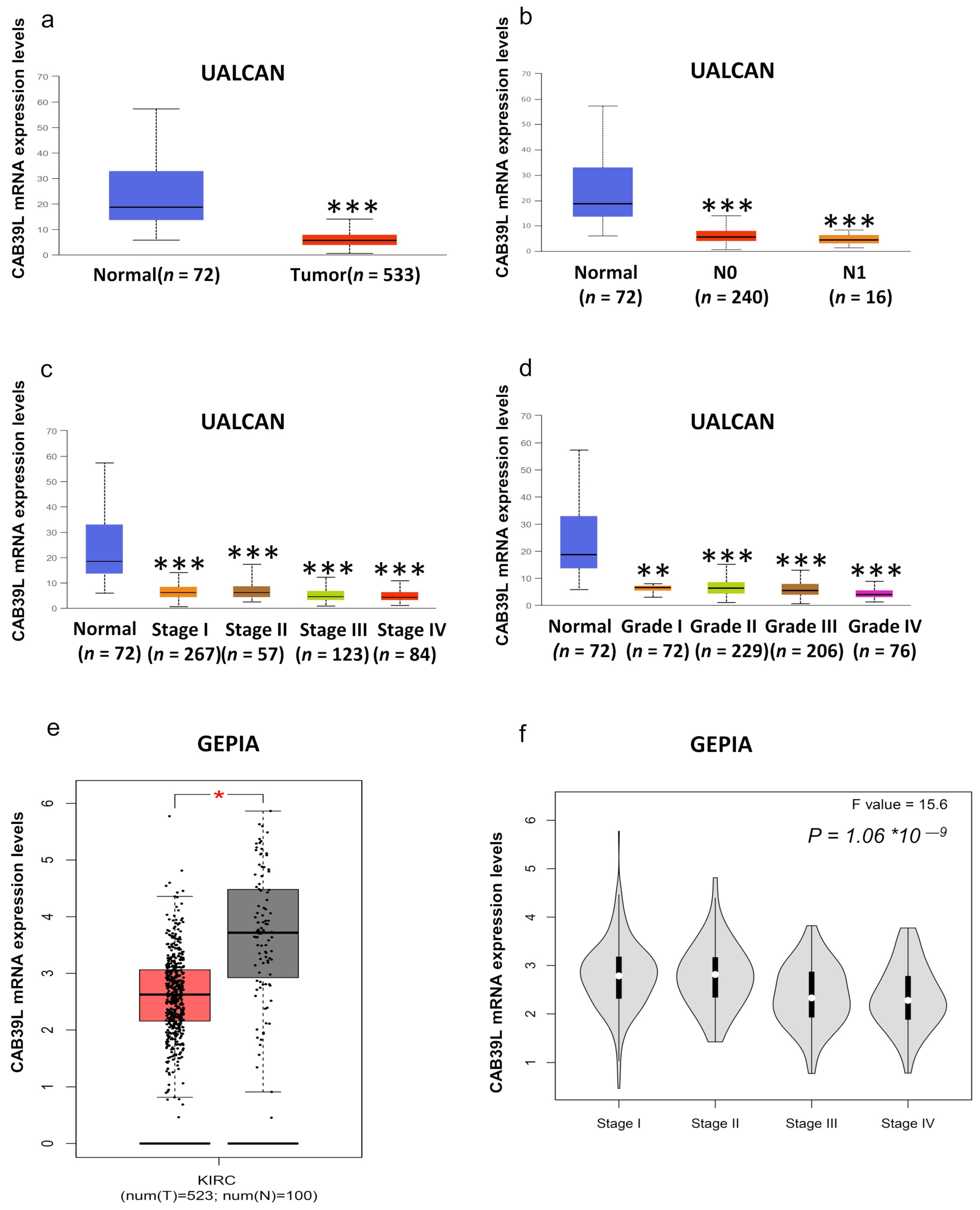 Medicina 59 00716 g003