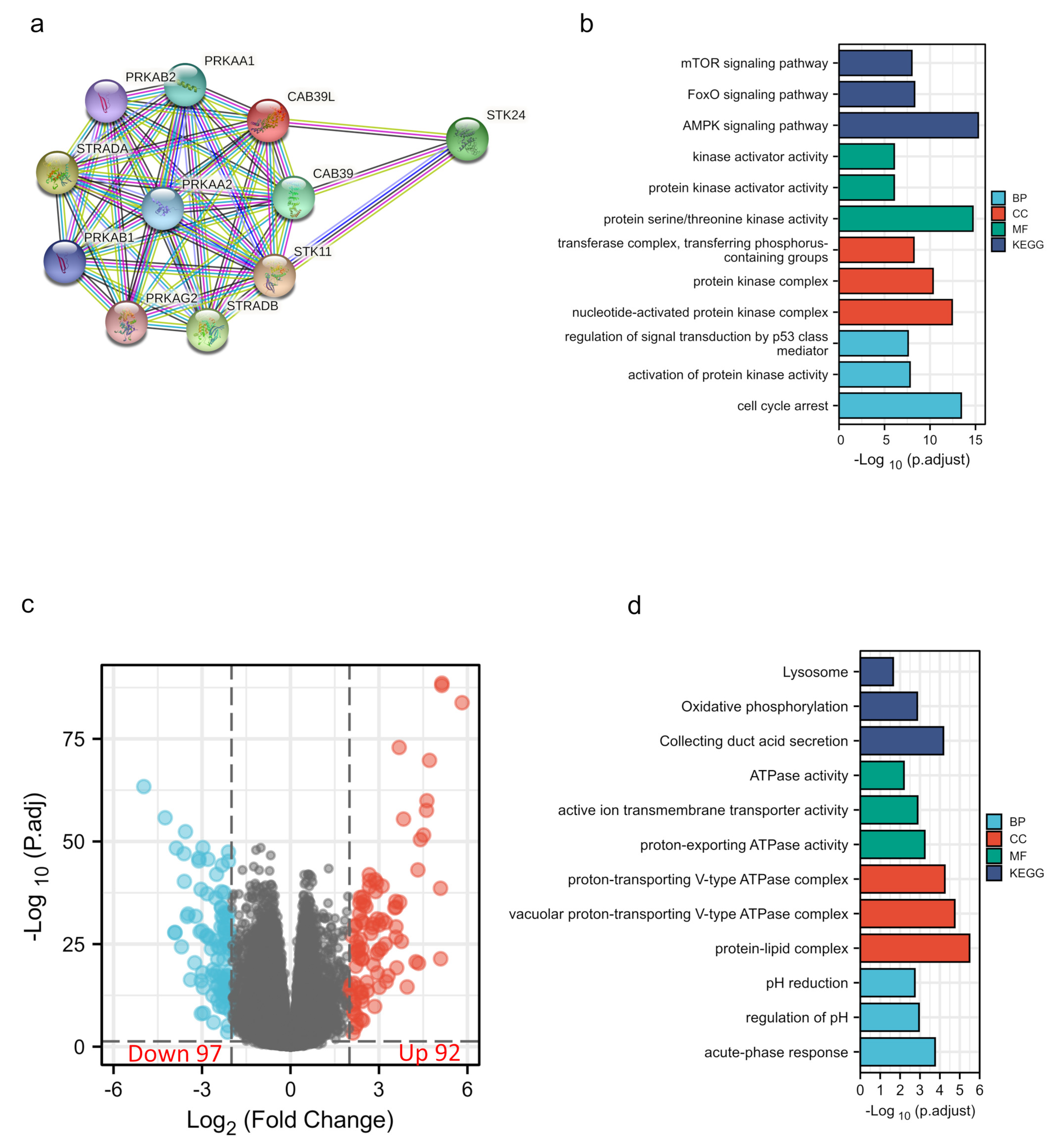 Medicina 59 00716 g006
