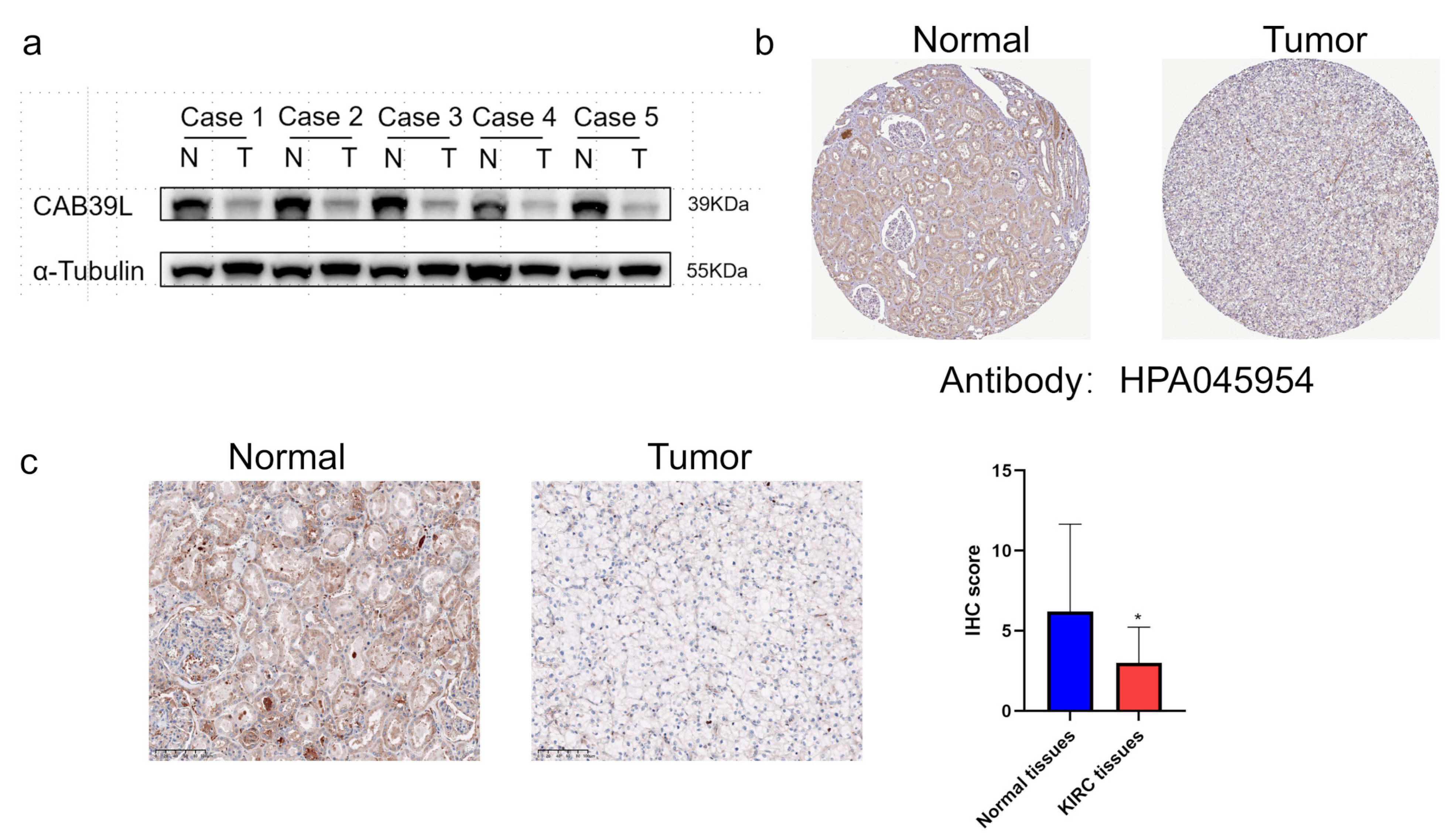 Medicina 59 00716 g009