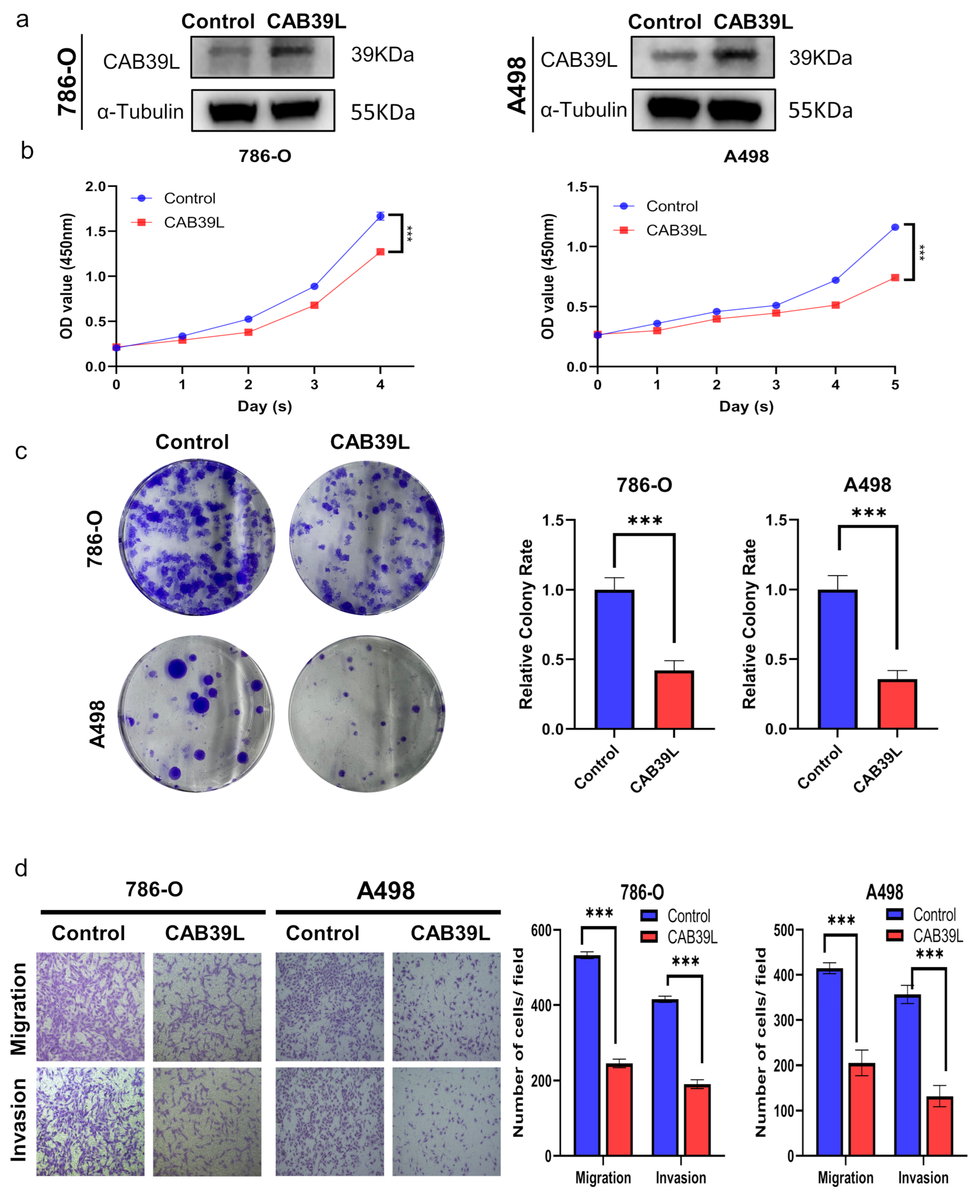 Medicina 59 00716 g010