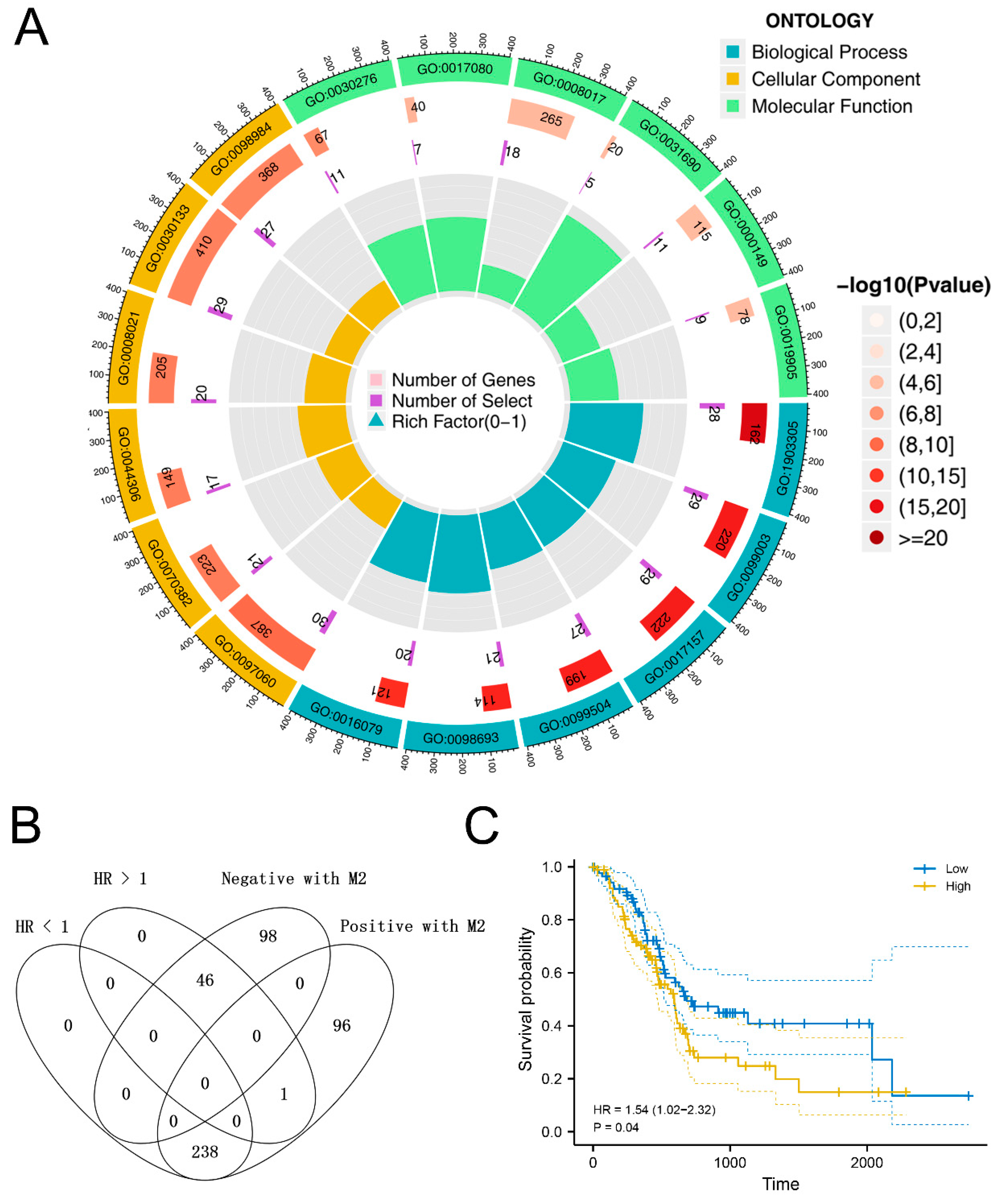 Medicina 59 00717 g003