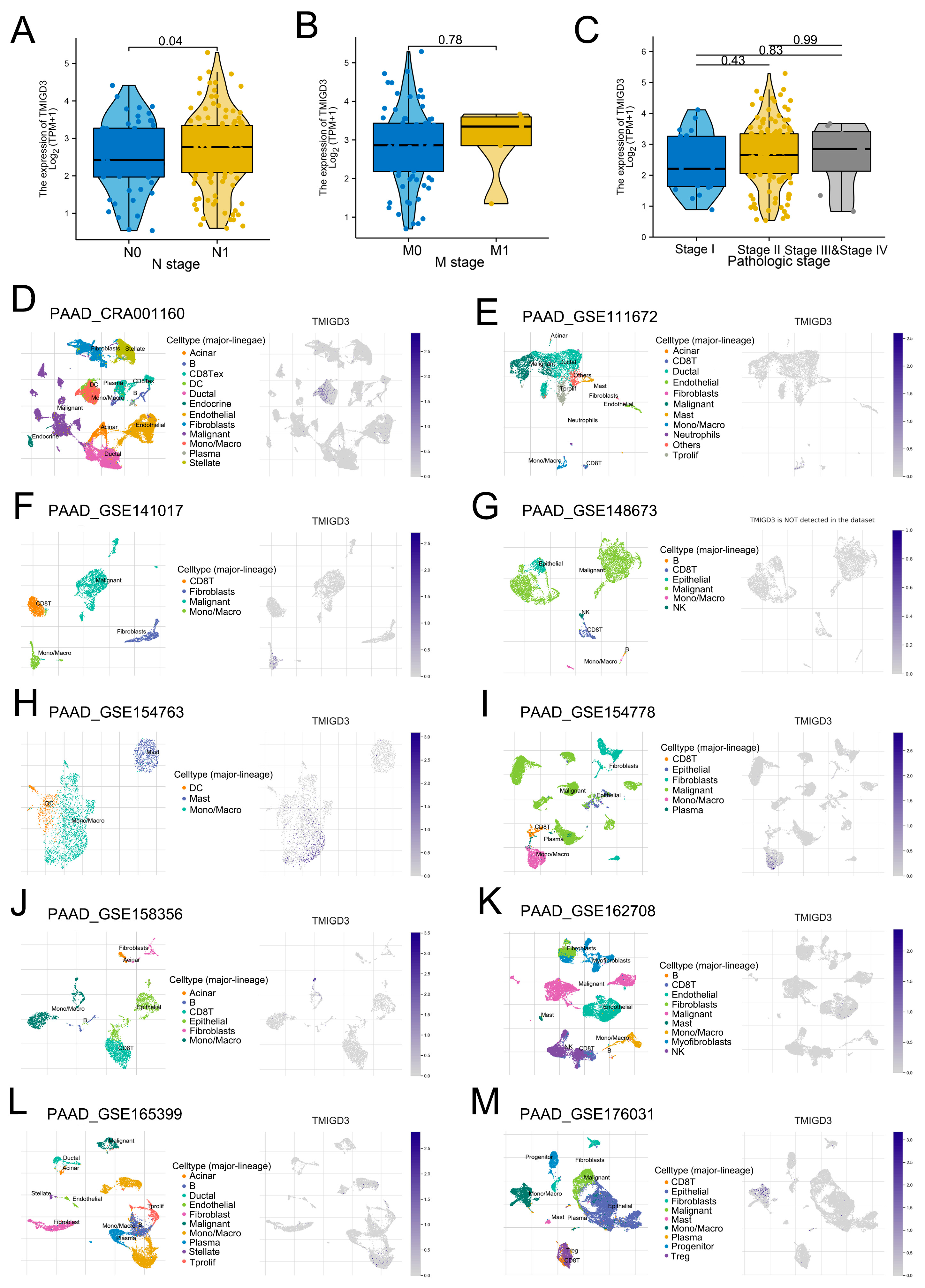 Medicina 59 00717 g004