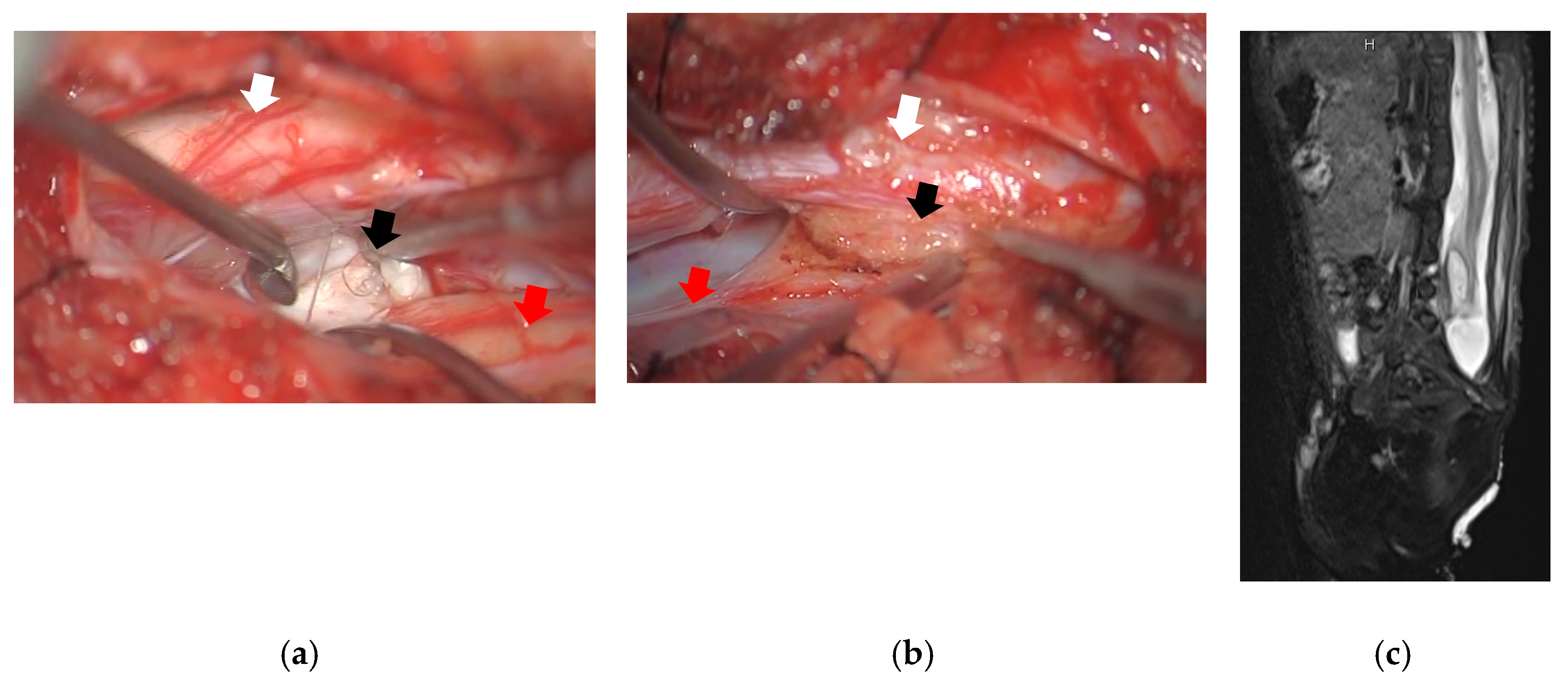 Medicina 59 00726 g003 550