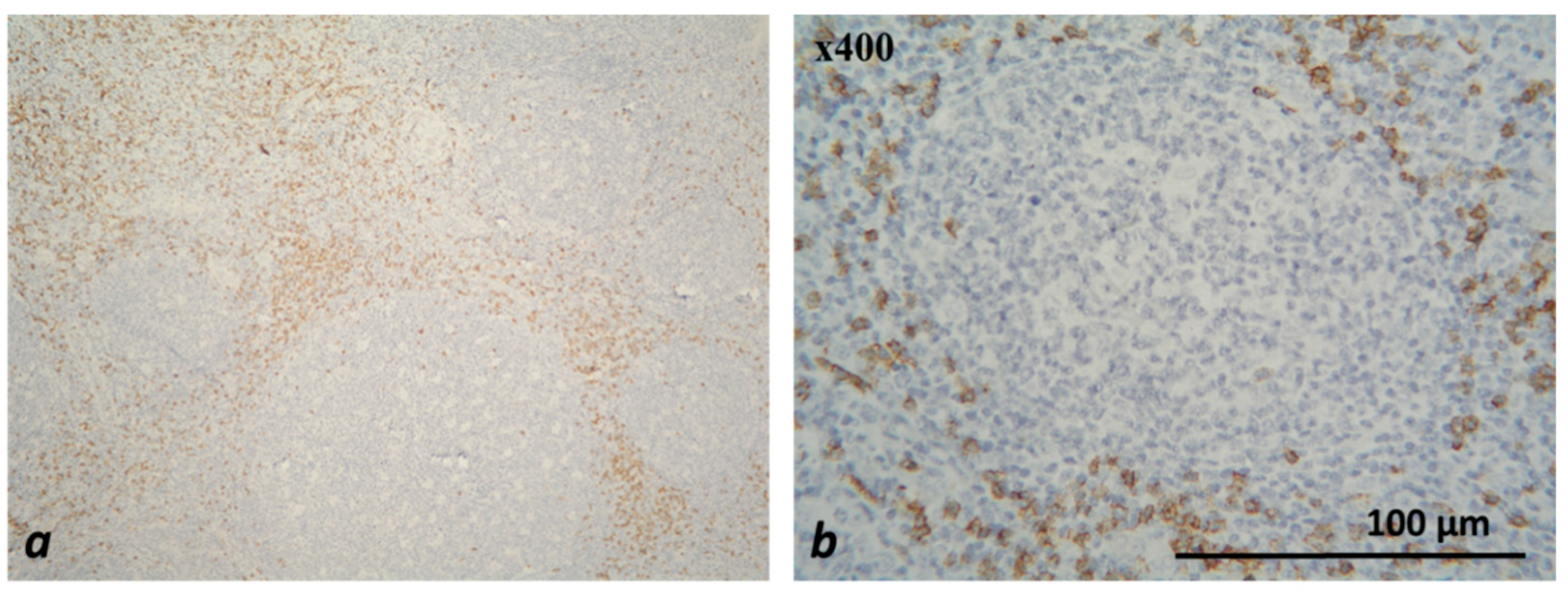 Medicina 59 00728 g001 Medicina 59 00728 g001