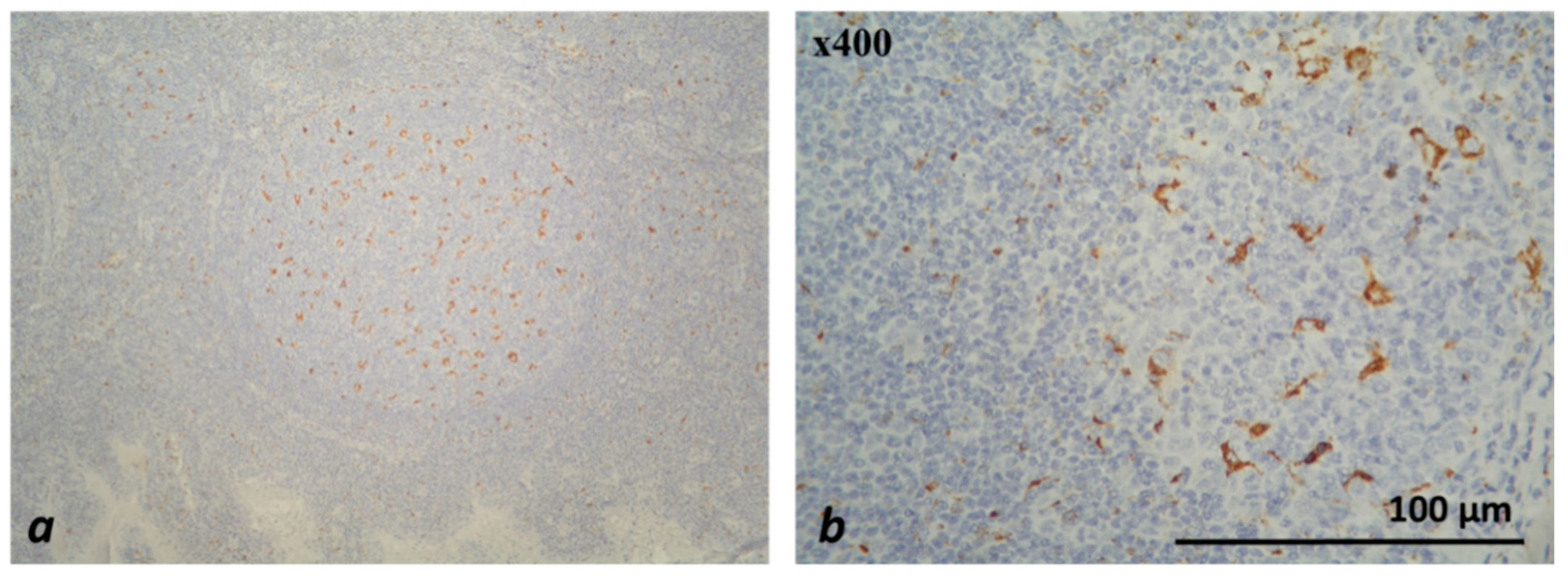 Medicina 59 00728 g002 Medicina 59 00728 g002
