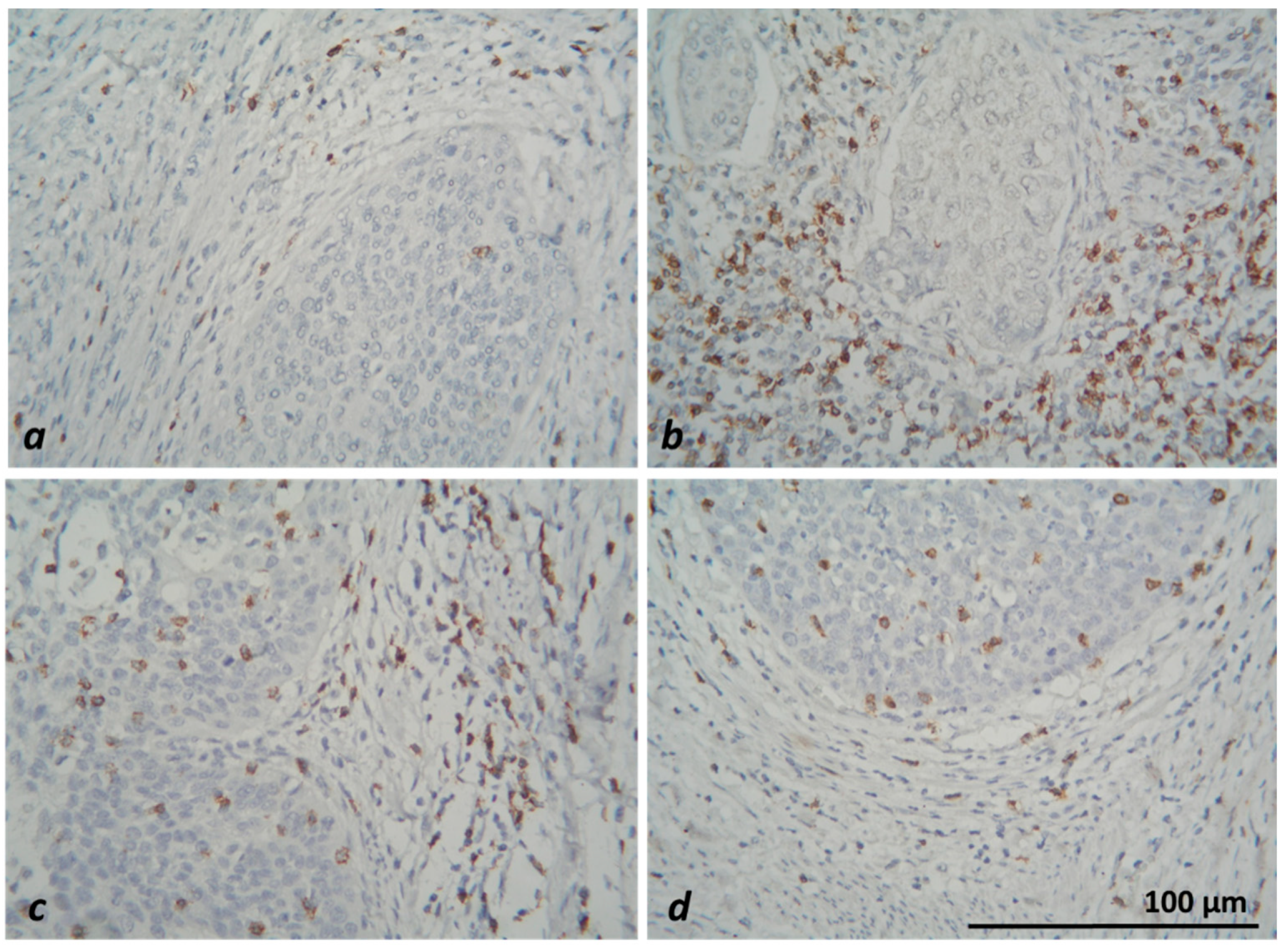 Medicina 59 00728 g003 Medicina 59 00728 g003