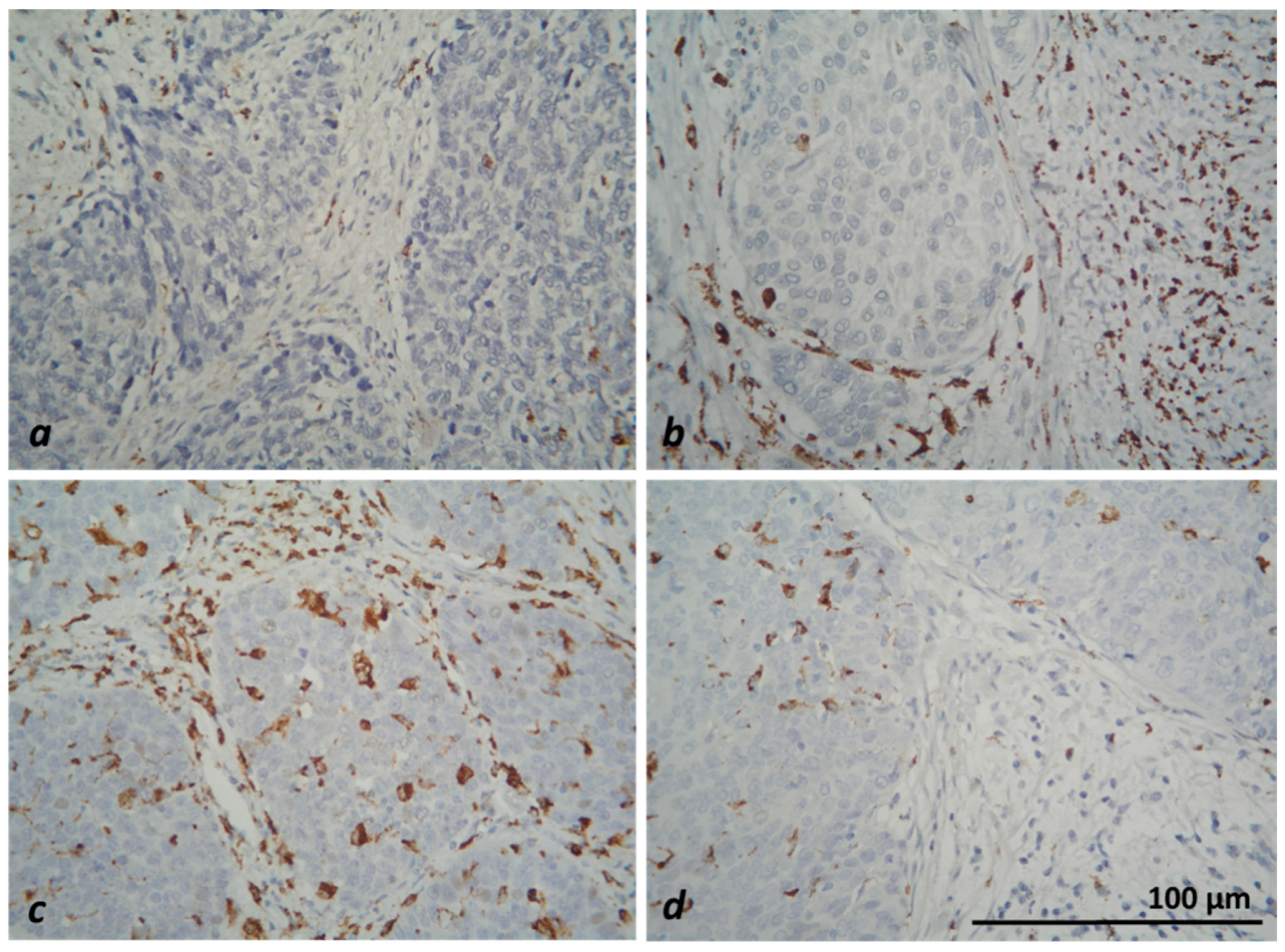 Medicina 59 00728 g004 Medicina 59 00728 g004