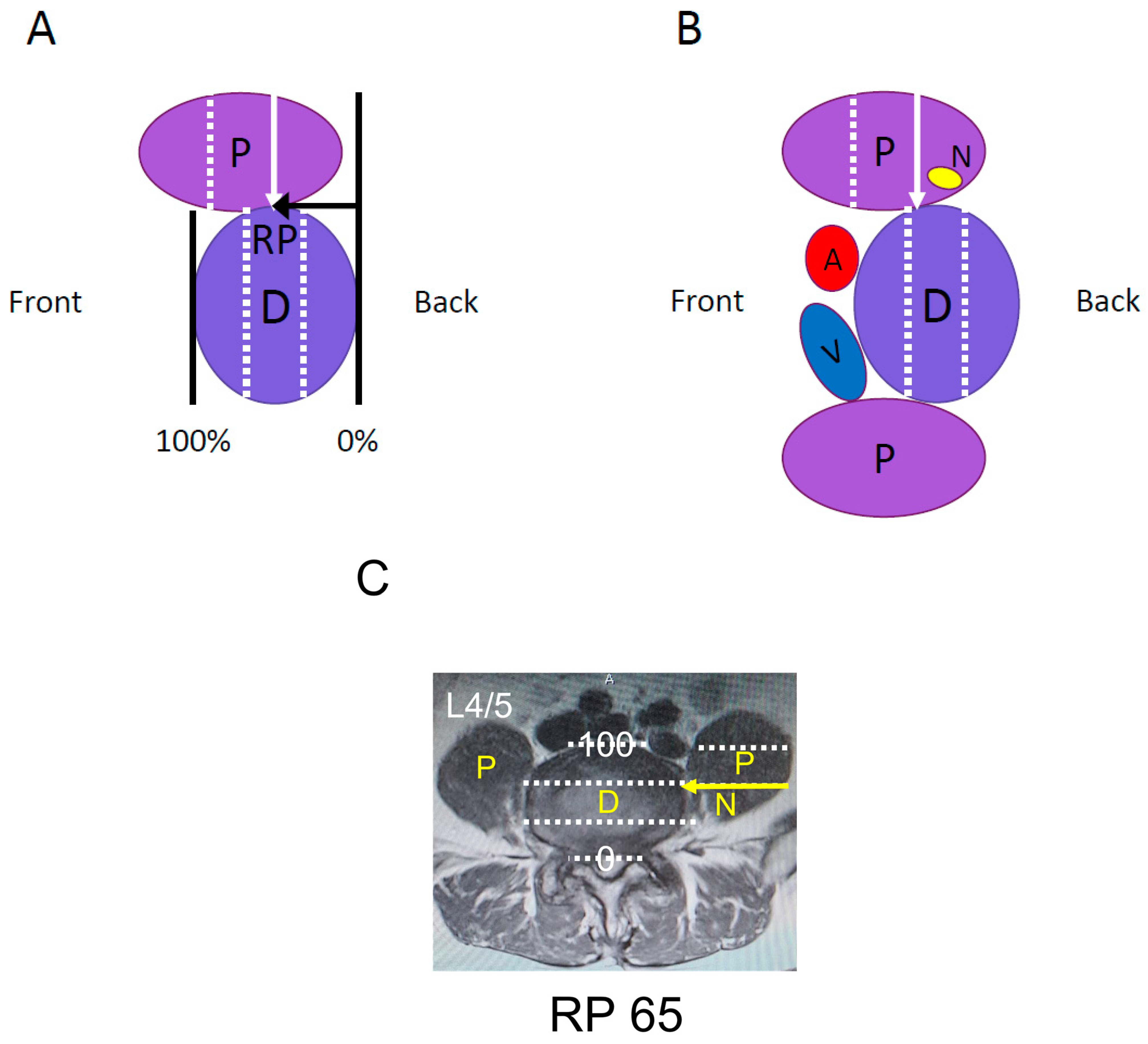 Medicina 59 00730 g001 Medicina 59 00730 g001