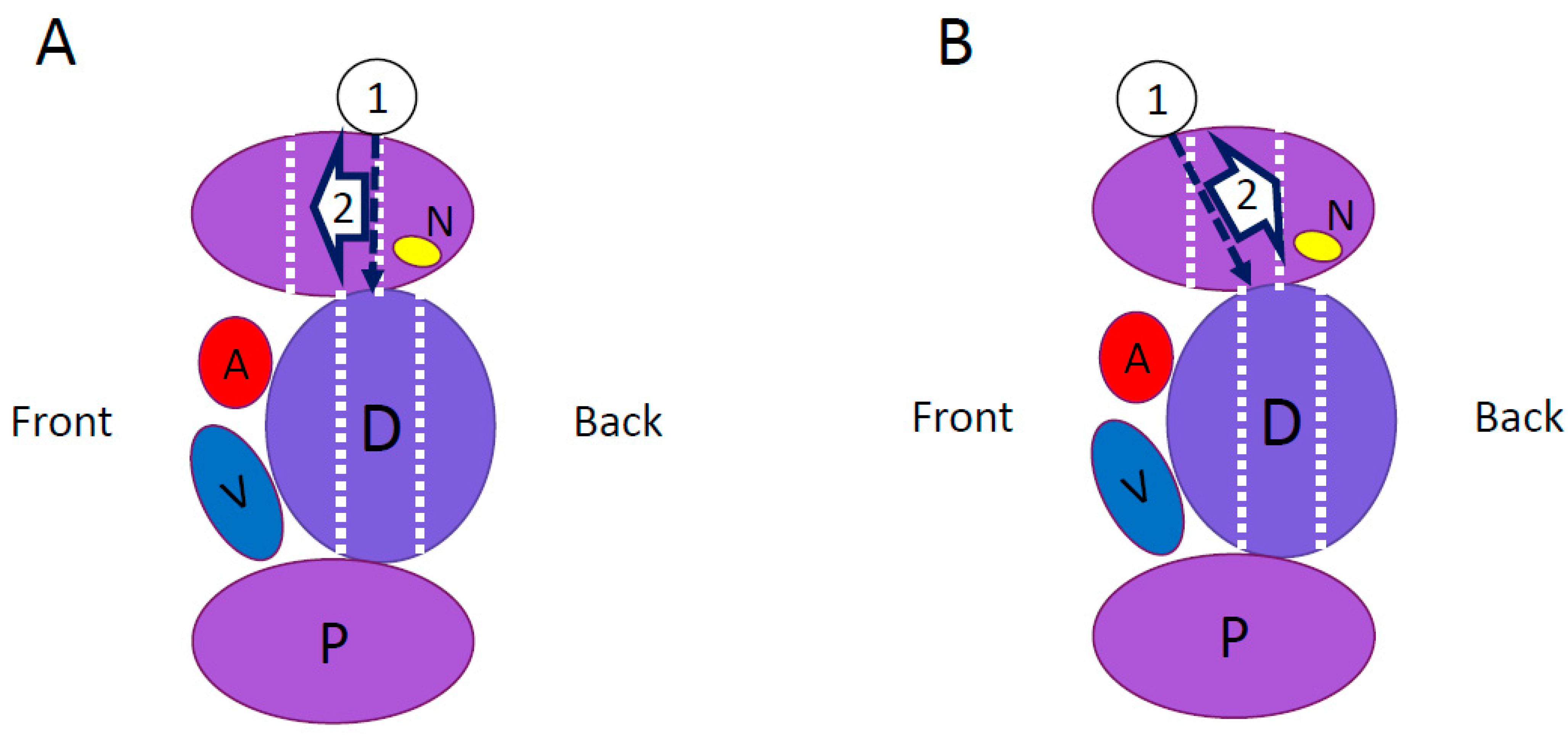 Medicina 59 00730 g002 Medicina 59 00730 g002